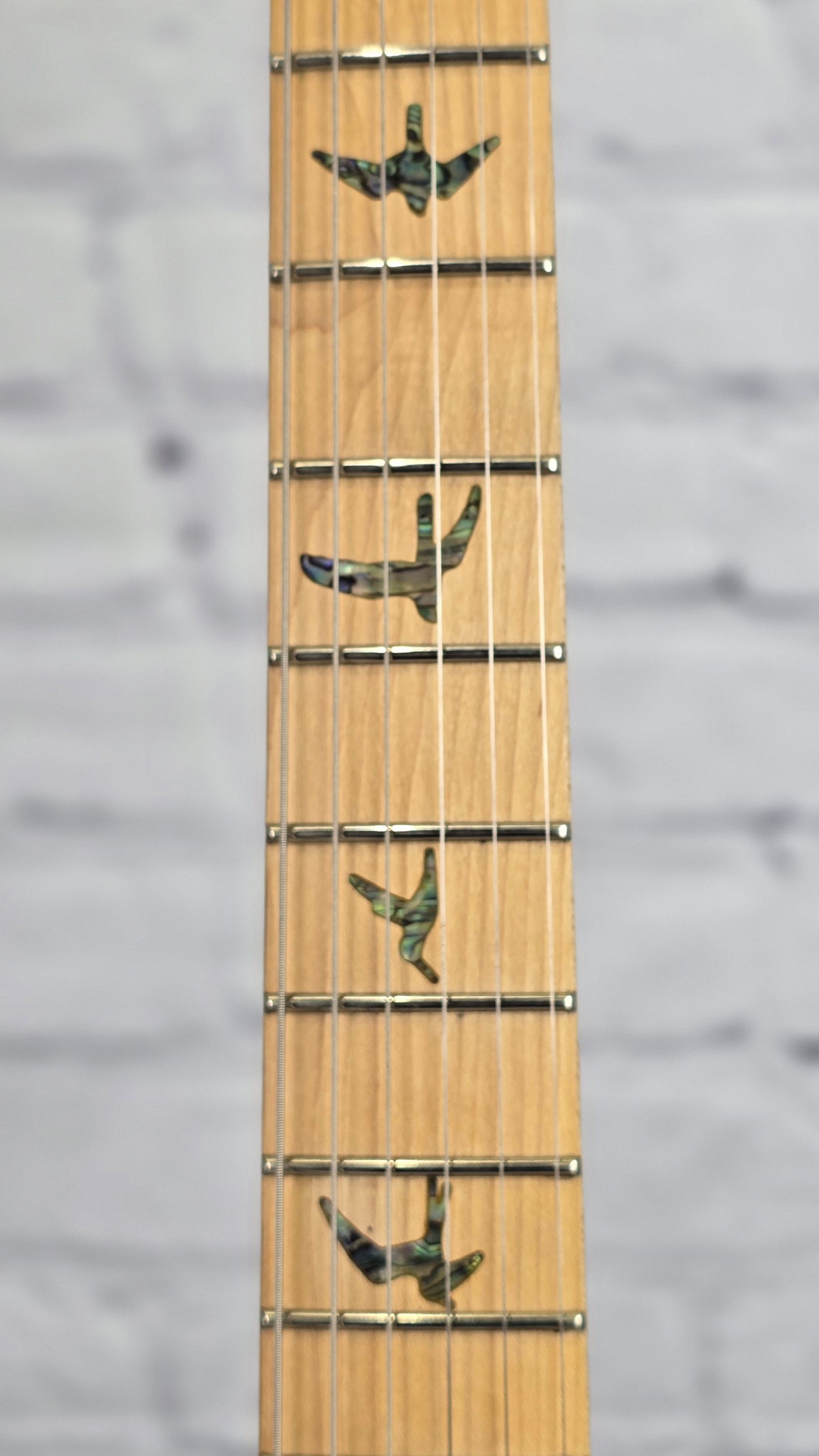 Paul Reed Smith PRS Guitars SE NF53 6 String Electric Guitar Black Dog Hair