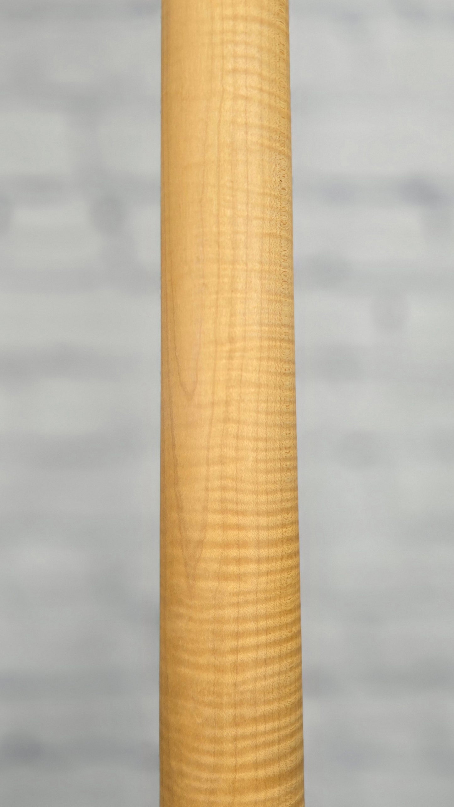 Paul Reed Smith PRS Guitars SE NF53 6 String Electric Guitar Black Dog Hair