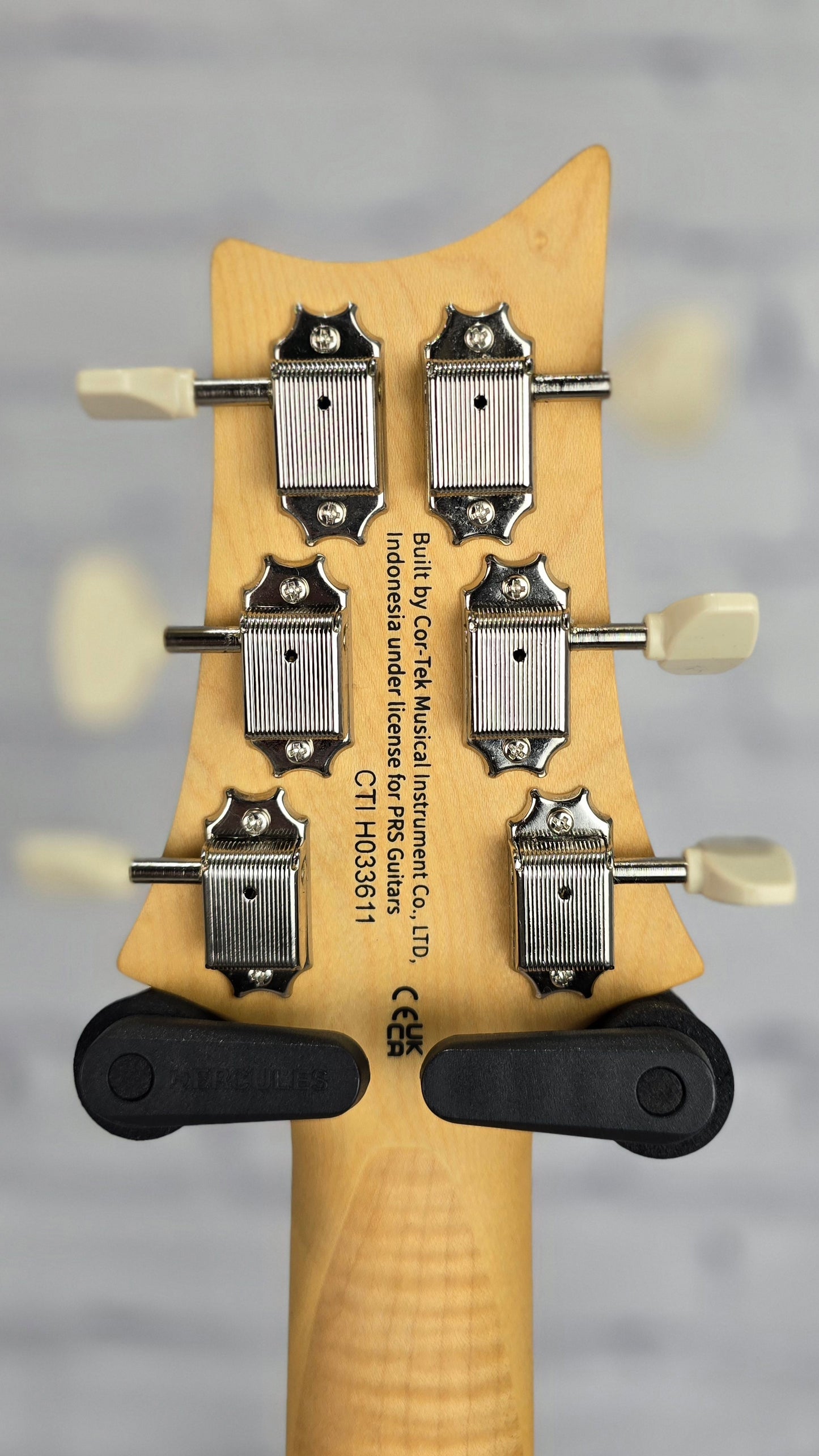 Paul Reed Smith PRS Guitars SE NF53 6 String Electric Guitar Black Dog Hair