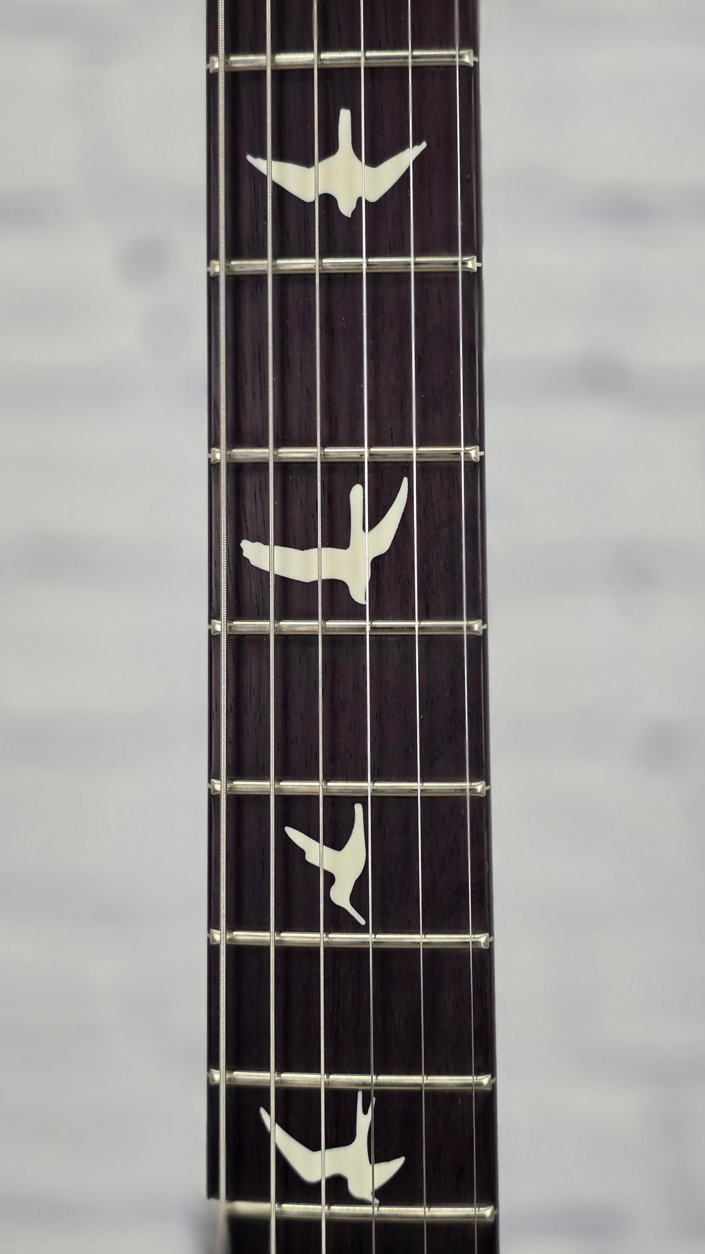 Paul Reed Smith PRS S2 Special Semi-Hollow Reclaimed Limited Edition 6 String Electric Guitar Natural