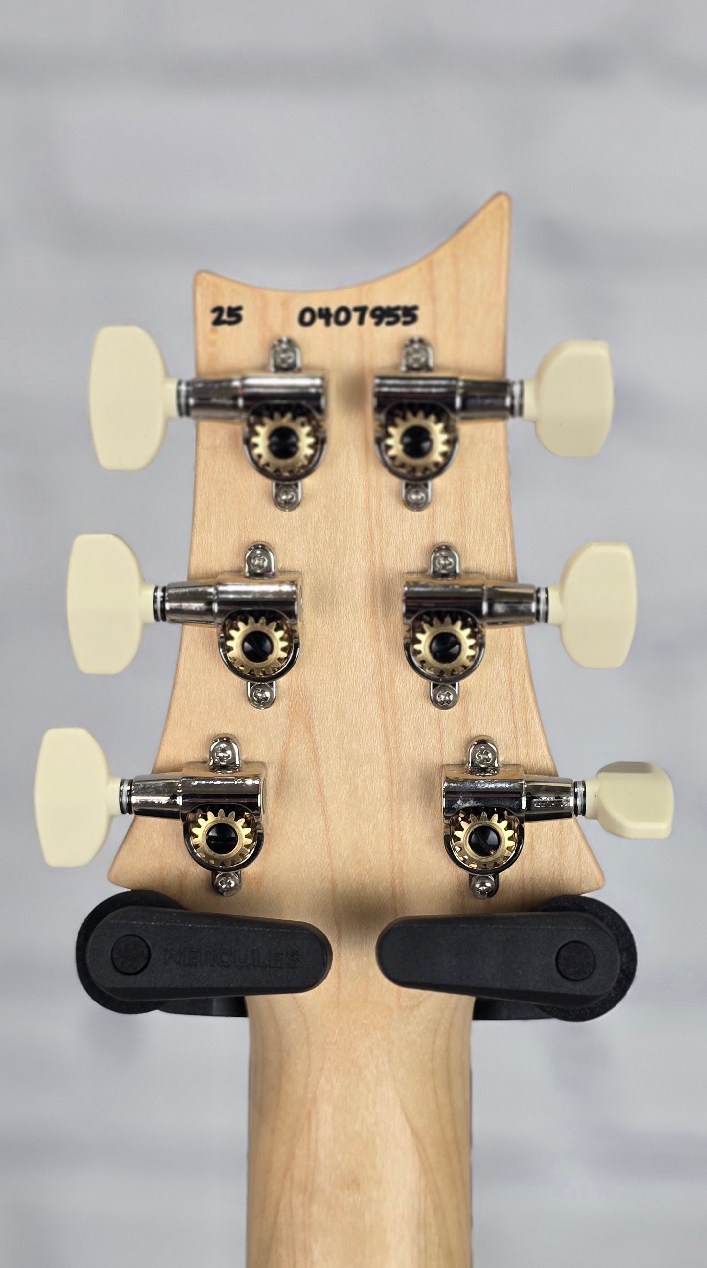 Paul Reed Smith PRS Swamp Ash Special Electric Guitar McCarty Black Dog Hair