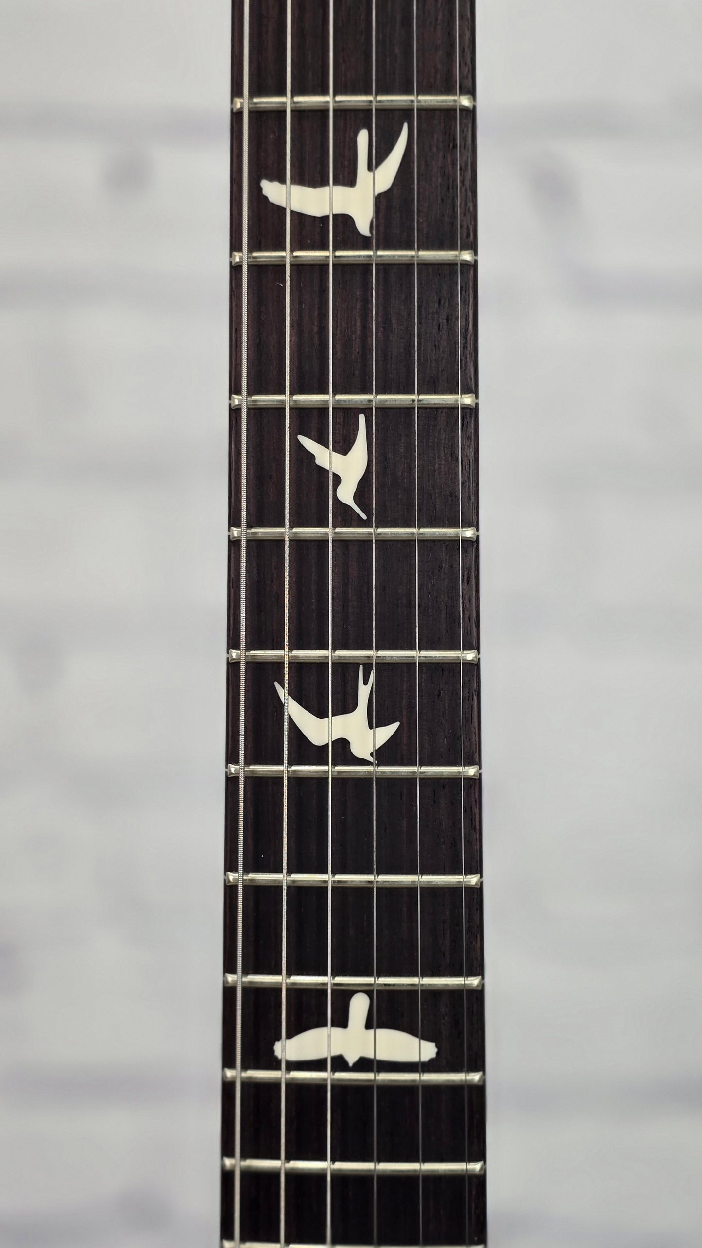 Paul Reed Smith PRS Guitars CE24 Special Limited Edition 6 String Electric Guitar Faded Whale Blue