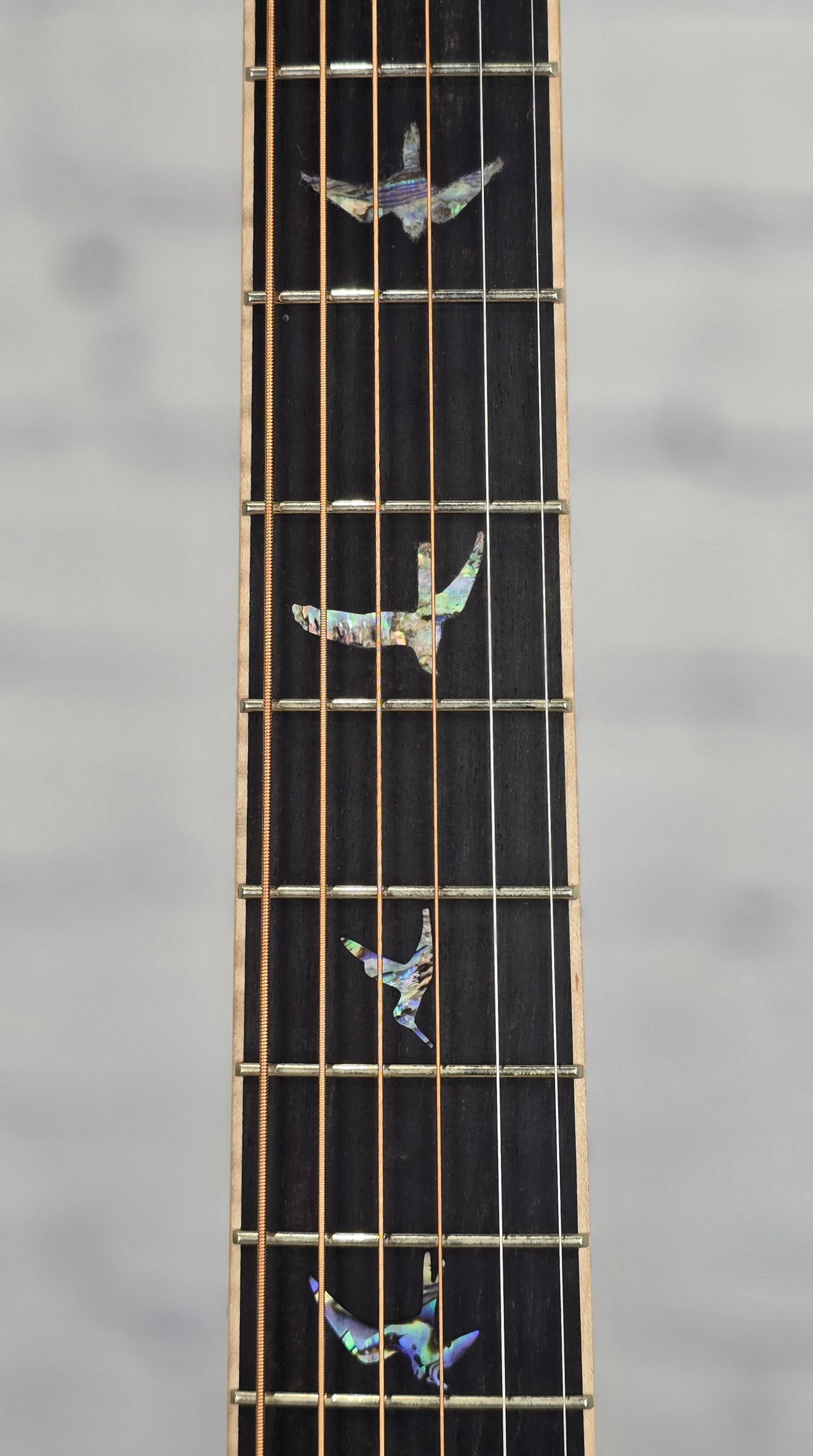 Paul Reed Smith PRS Guitars SE Tonare T60E Acoustic Guitar w/Fishman Pickup Spruce + Ziricote