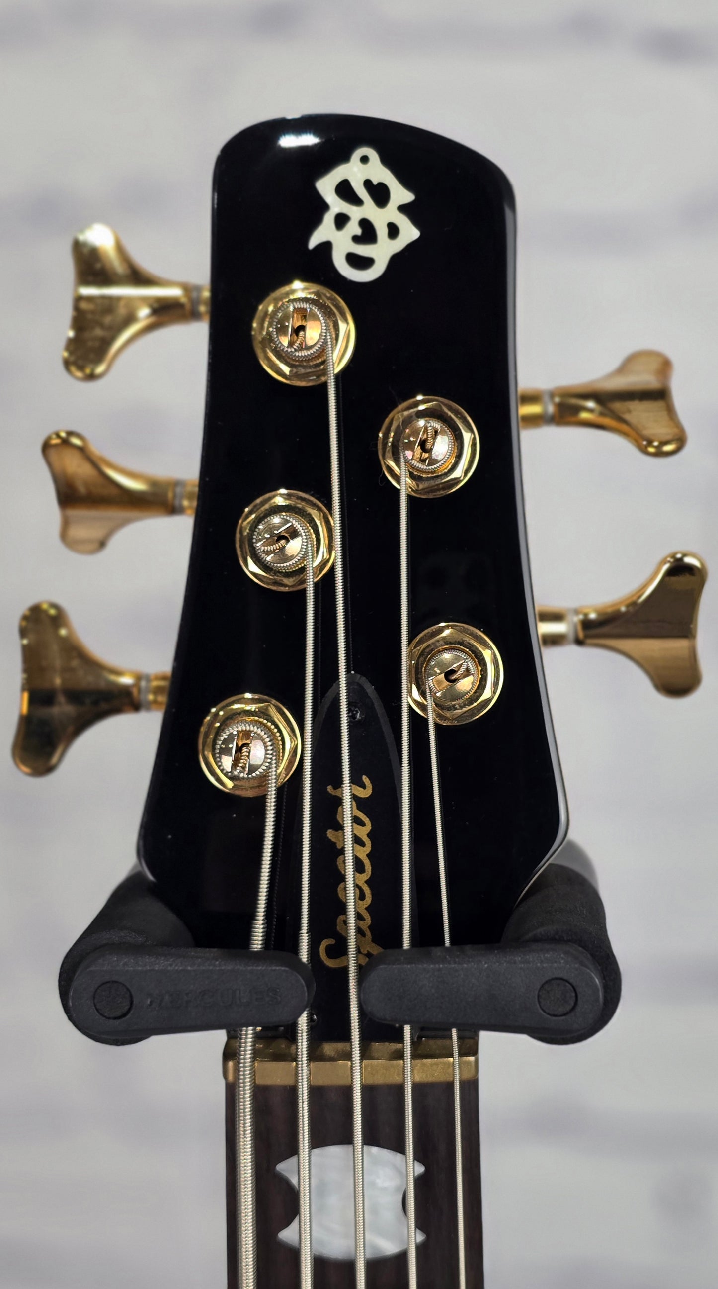 Spector NS Icon Bolt-On 5 String Bass Black Cherry Gloss