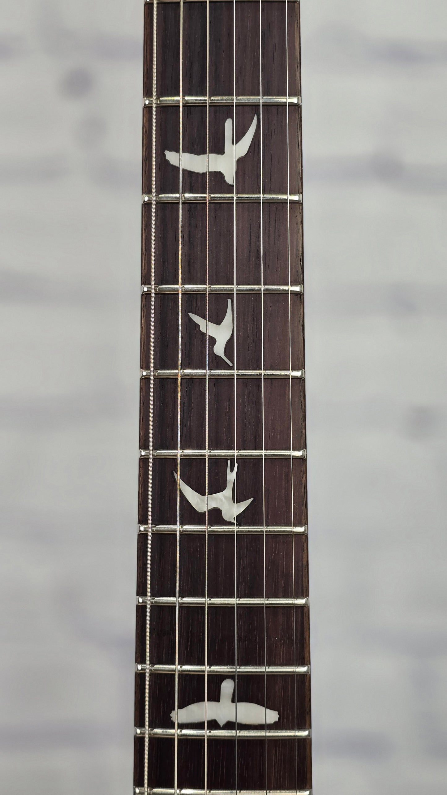 Paul Reed Smith PRS SE DGT 6 String Electric Guitar McCarty Tobacco Burst