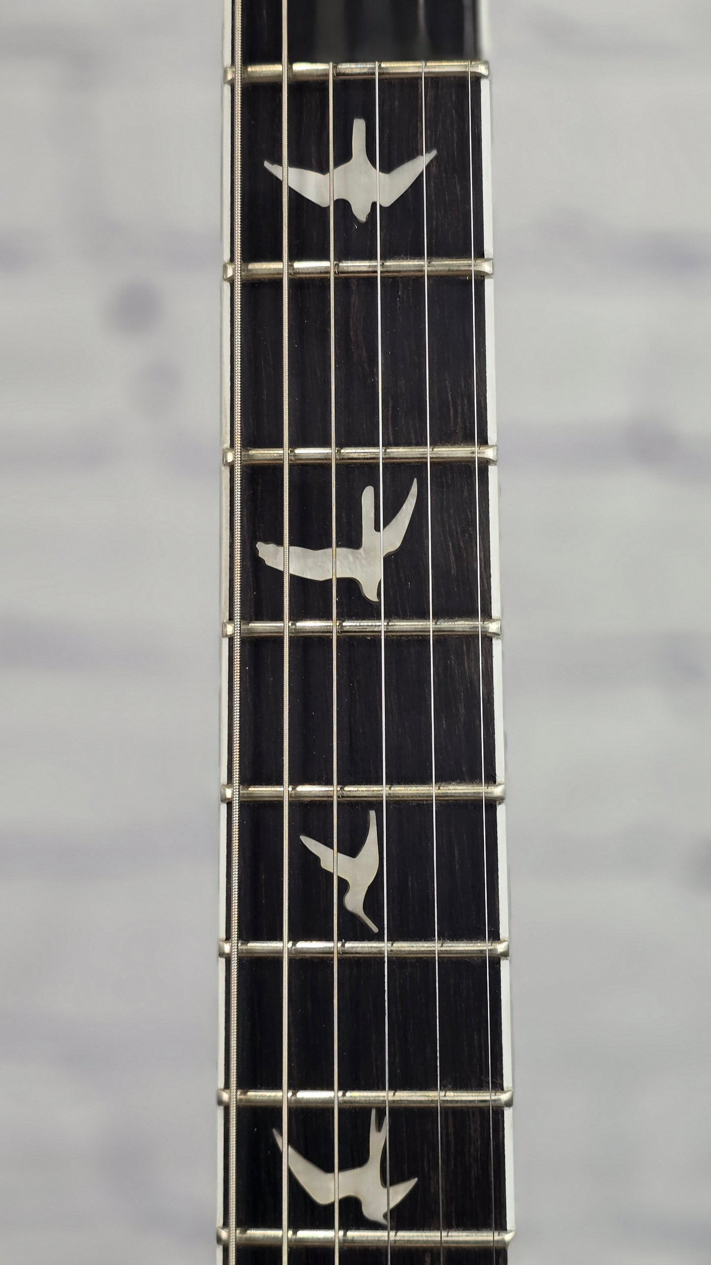 Paul Reed Smith PRS SE Mark Holcomb 6 String Electric Guitar Holcomb Blue Burst