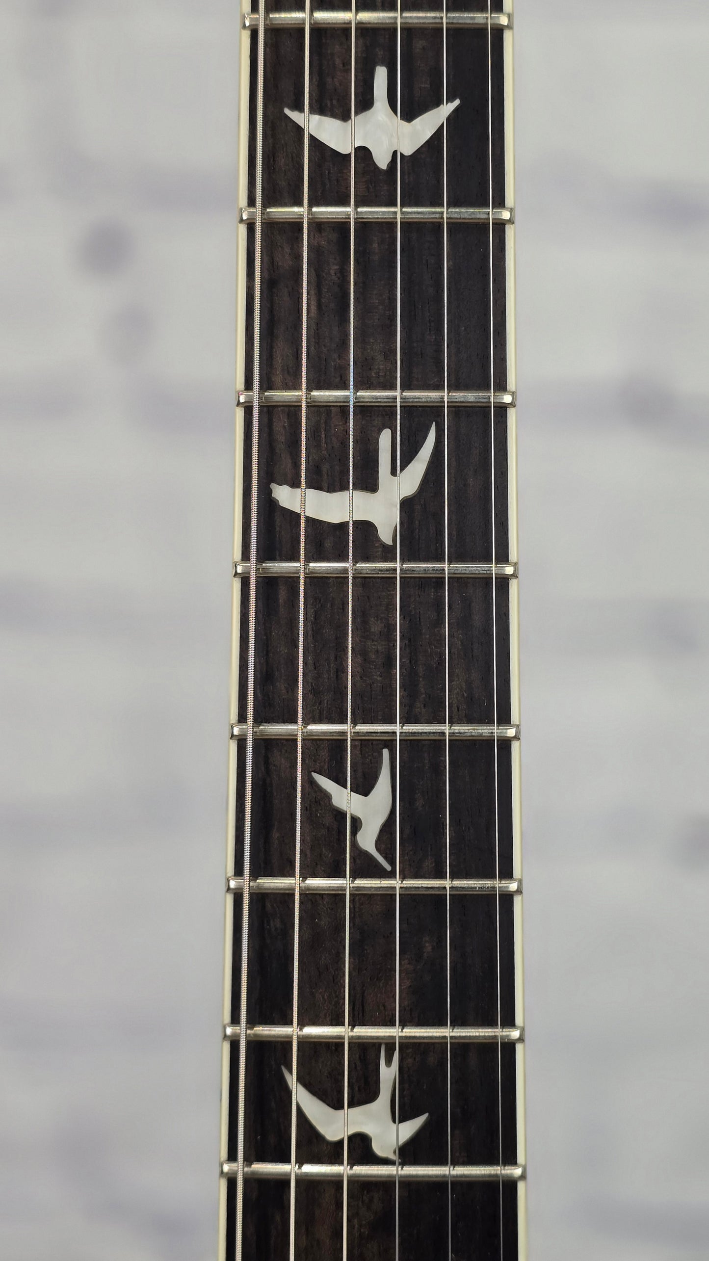 Paul Reed Smith PRS SE Custom 24 Quilt 6 String Electric Guitar Teal Black