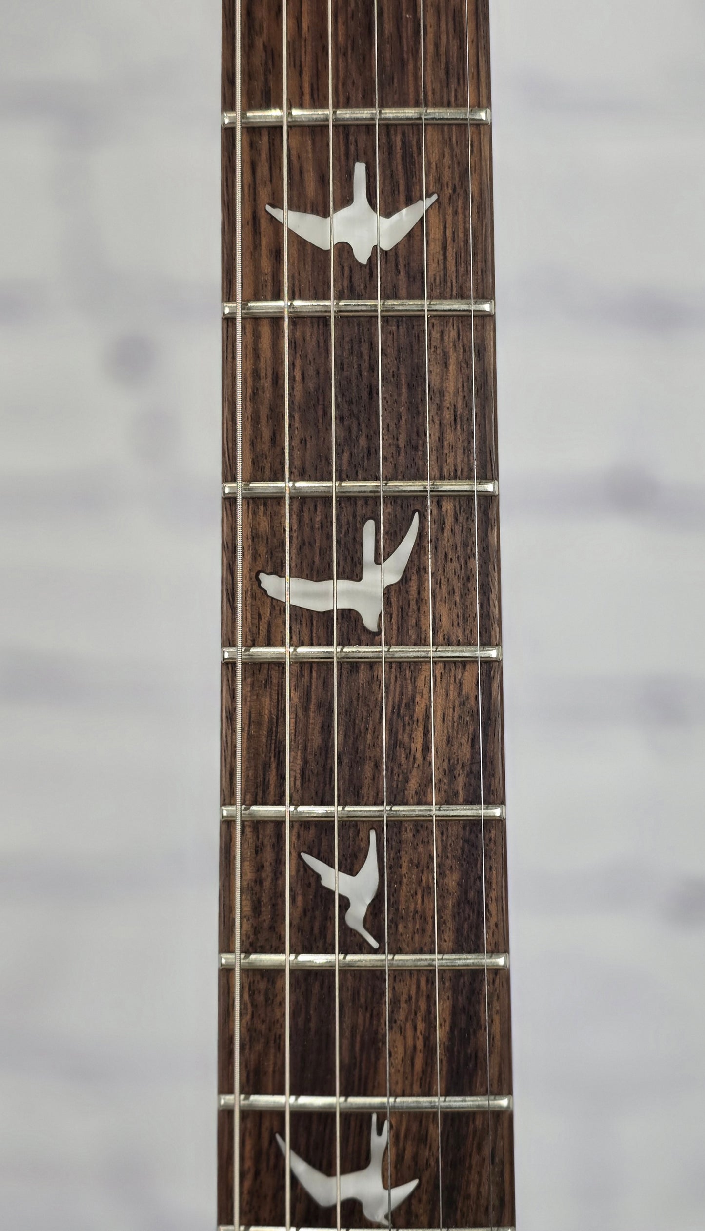 Paul Reed Smith PRS Guitars SE Custom 24 Limited 6 String Electric Guitar Blue Fade