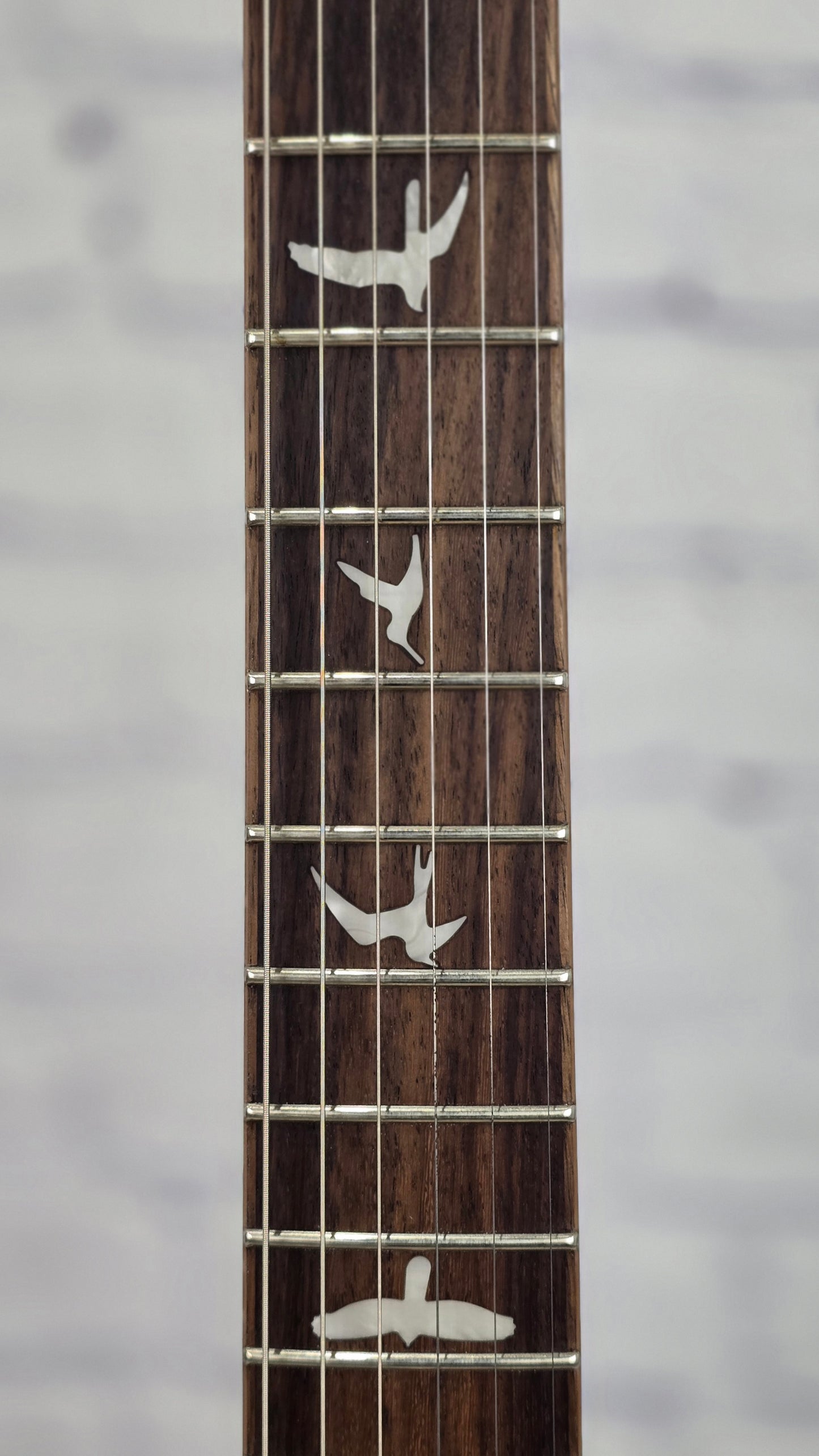 Paul Reed Smith PRS Guitars SE Custom 24 Limited 6 String Electric Guitar Blue Fade