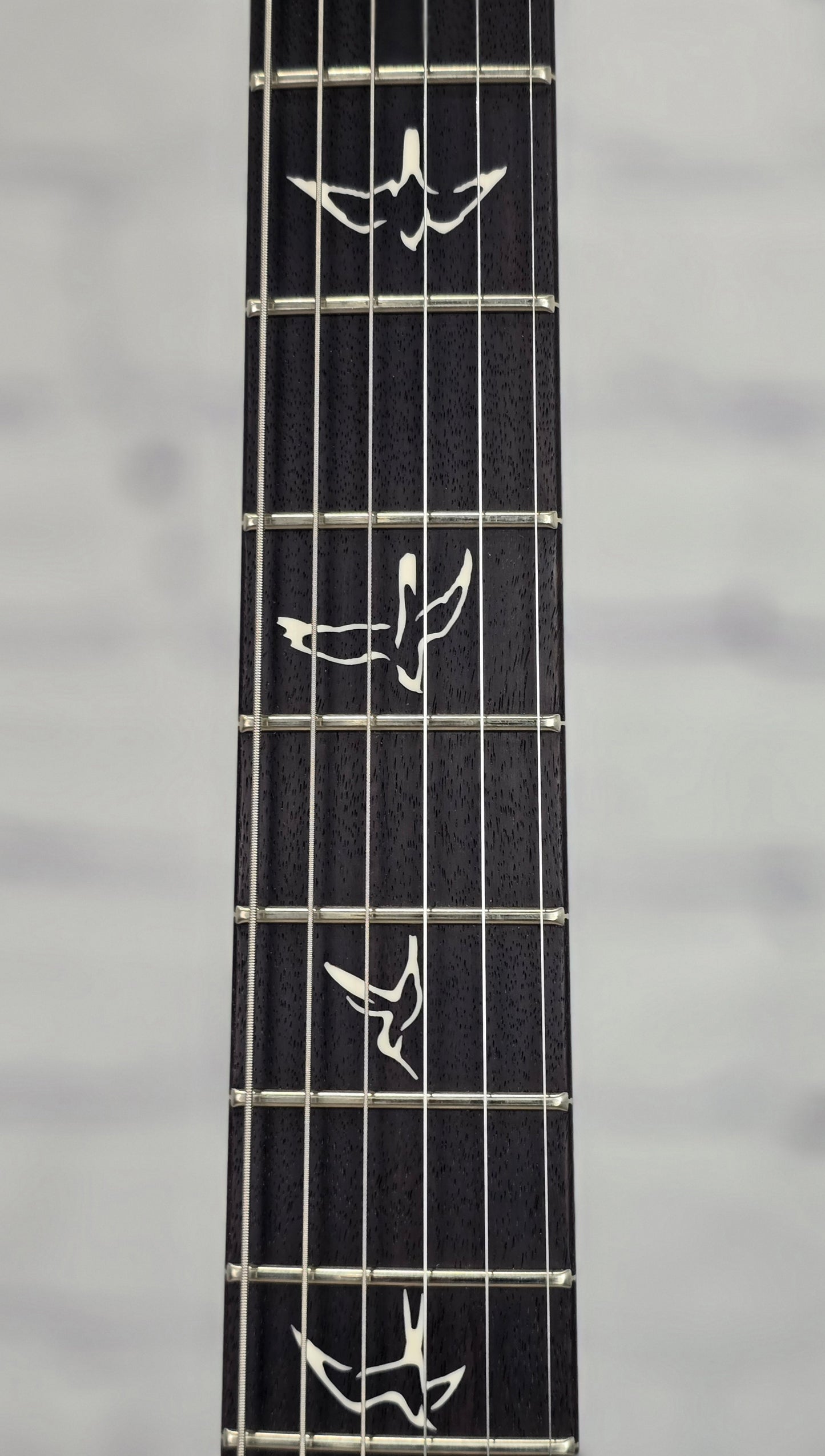 Paul Reed Smith PRS Guitars Fiore Satin HH 6 String Electric Guitar Black Hyacinth