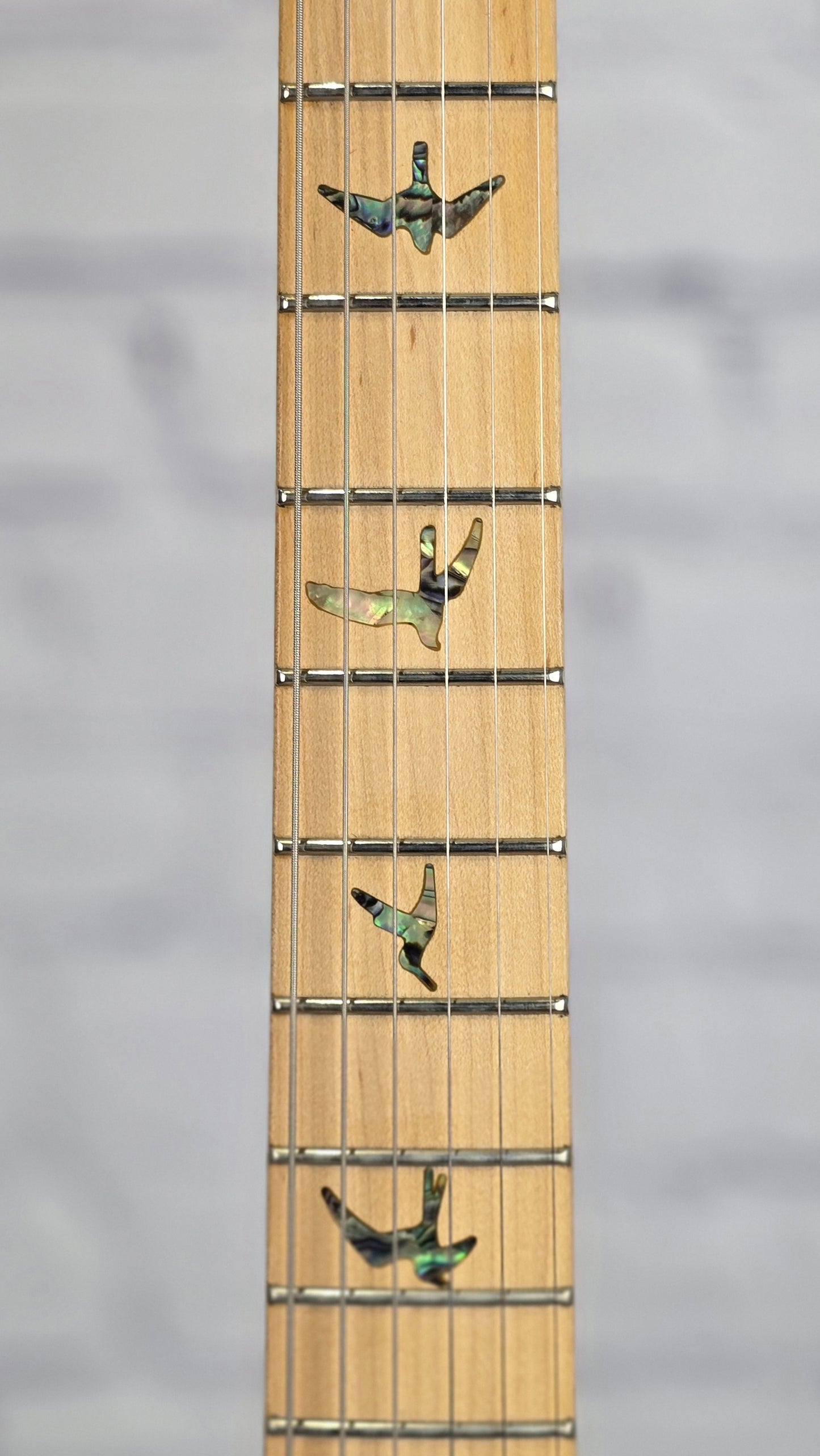 Paul Reed Smith PRS Guitars SE NF53 6 String Electric Guitar Black Dog Hair