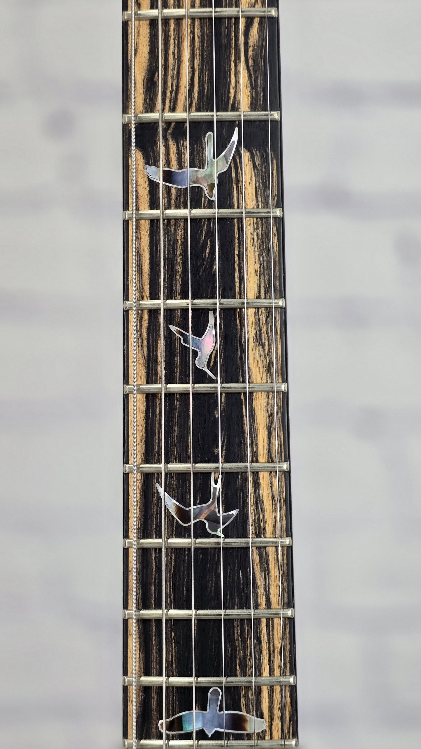 Paul Reed Smith PRS Guitars Private Stock McCarty 594 6 String Electric Guitar McCarty Glow PS 11836