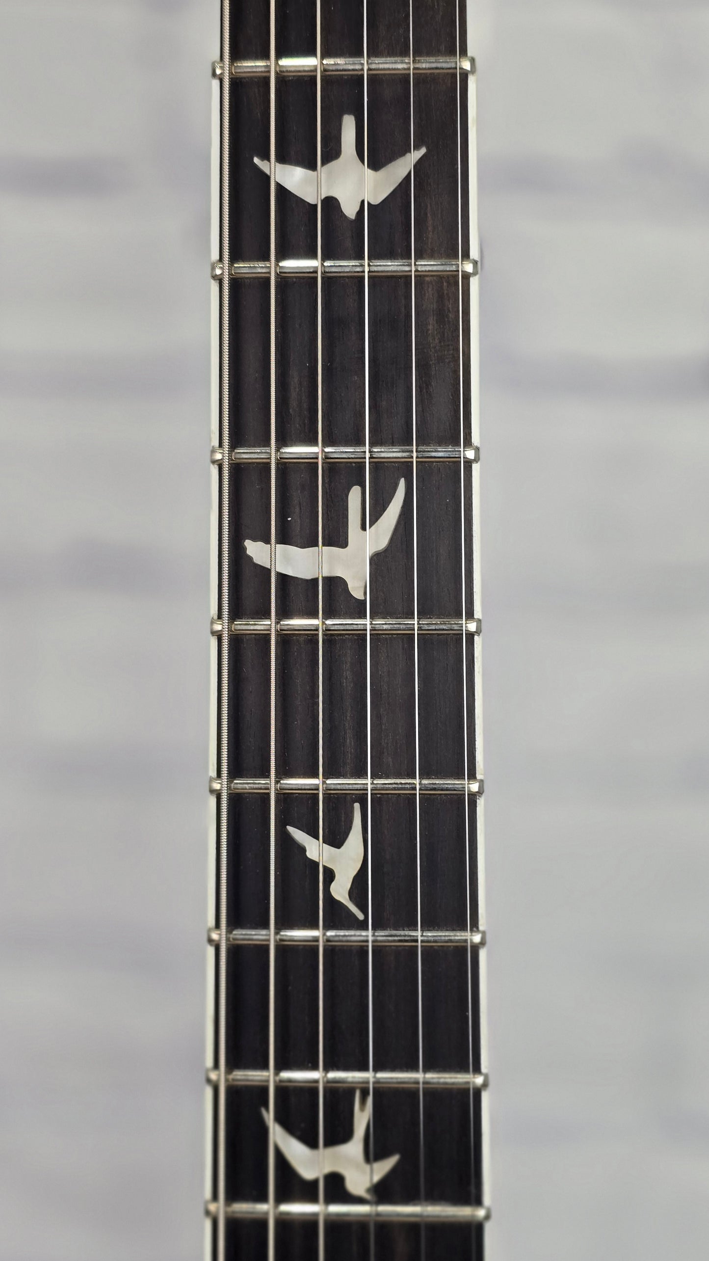 Paul Reed Smith PRS Guitars SE Mark Holcomb 6 String Electric Guitar Holcomb Blue Burst