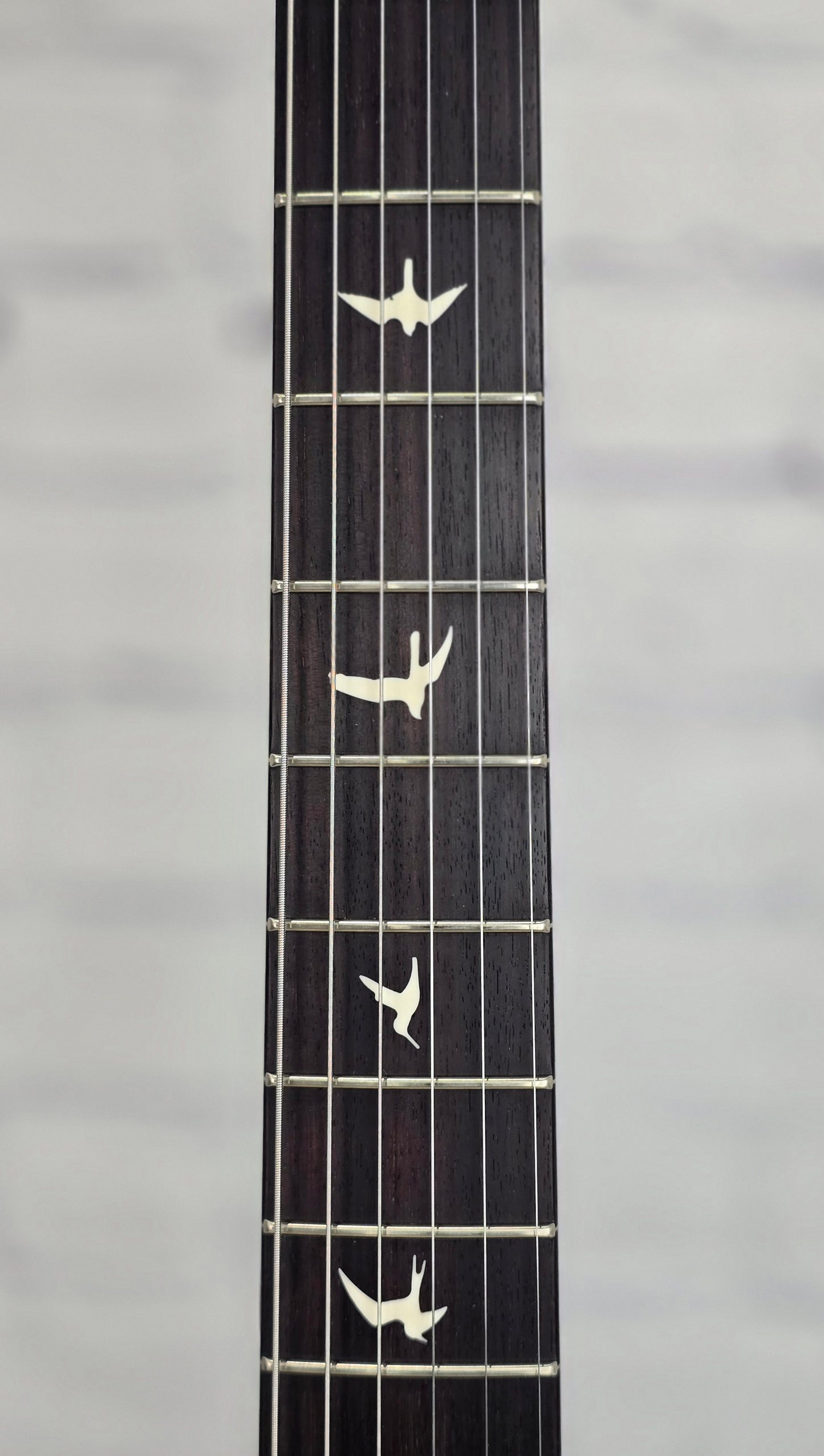 Paul Reed Smith PRS Guitars Silver Sky Electric Guitar John Mayer Black Plum Satin Rosewood