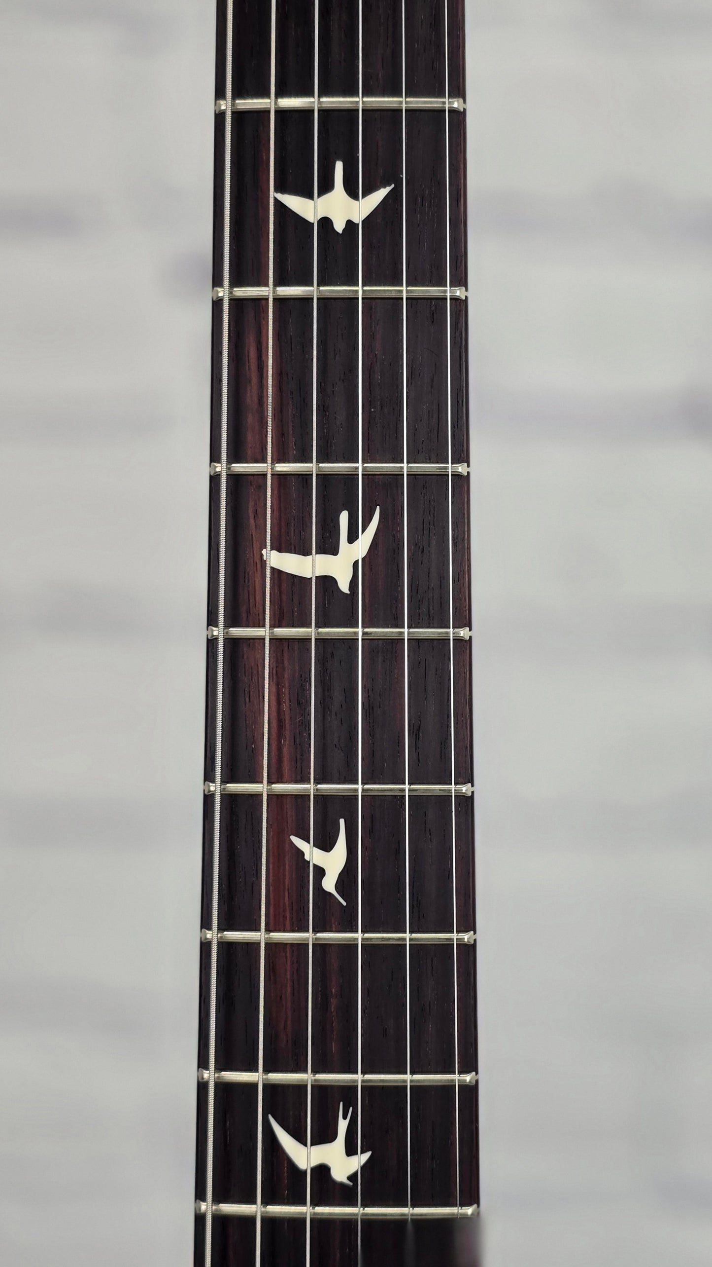 Paul Reed Smith PRS Guitars Silver Sky Electric Guitar John Mayer Mojave Brown Satin Rosewood