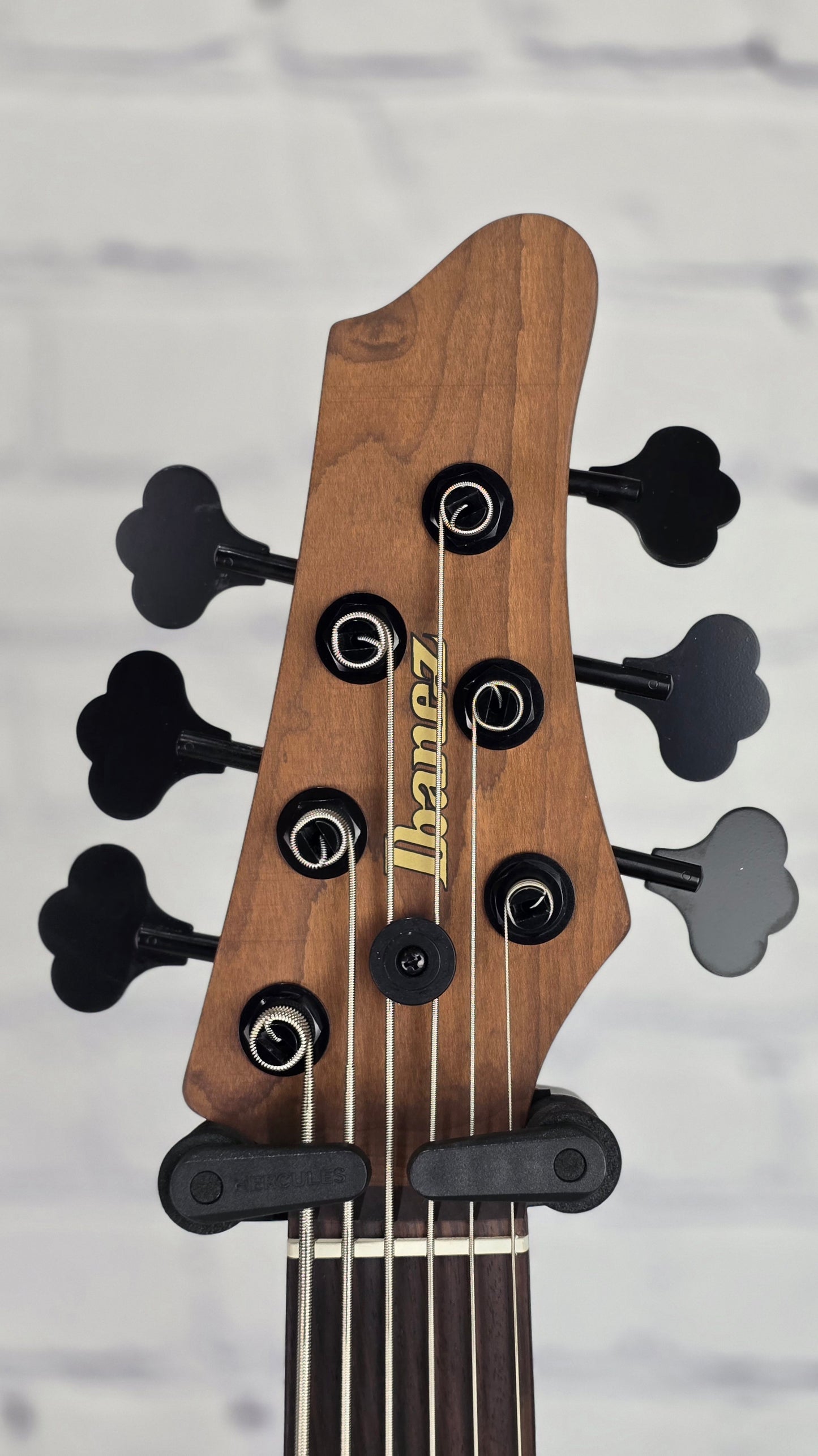 Ibanez Mode MDM1006 PW 6 String Bass Pearl White