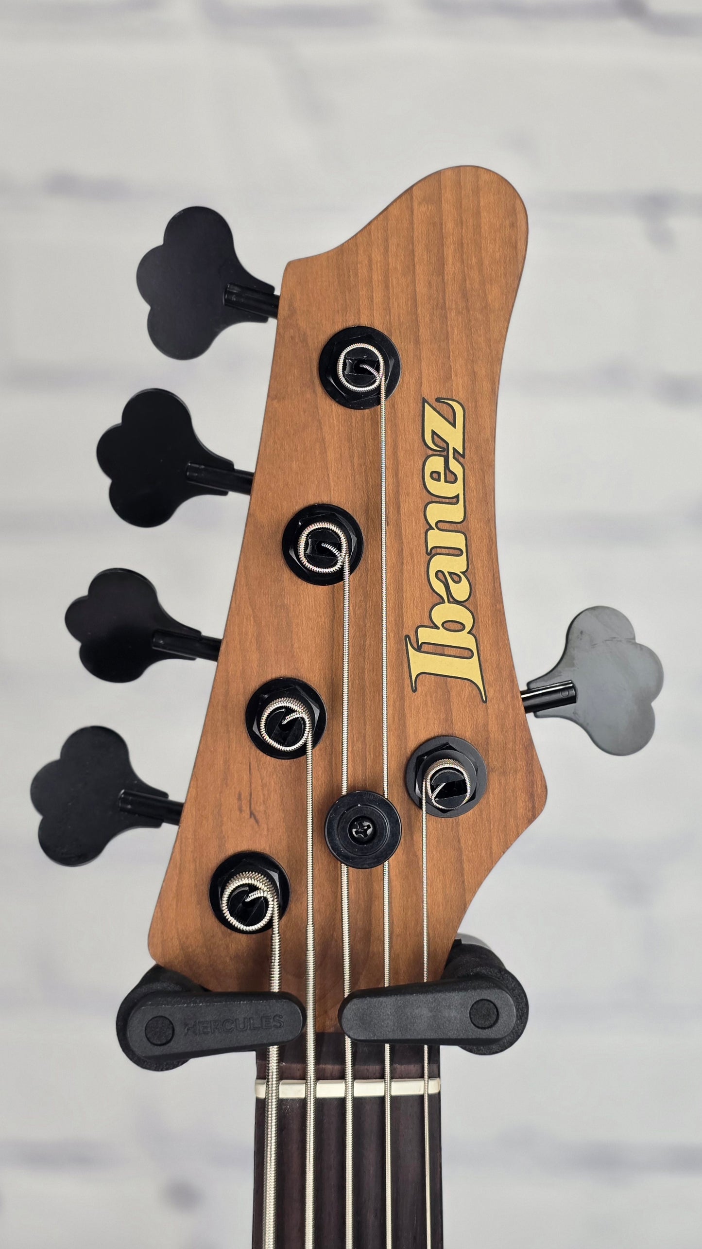 Ibanez Mode MDM1005 PW 5 String Bass Pearl White