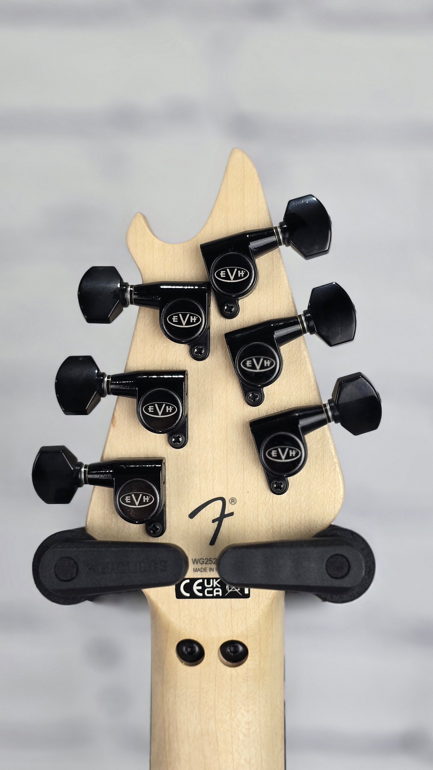 EVH Wolfgang Special Ebony 6 String Electric Guitar Stealth Black