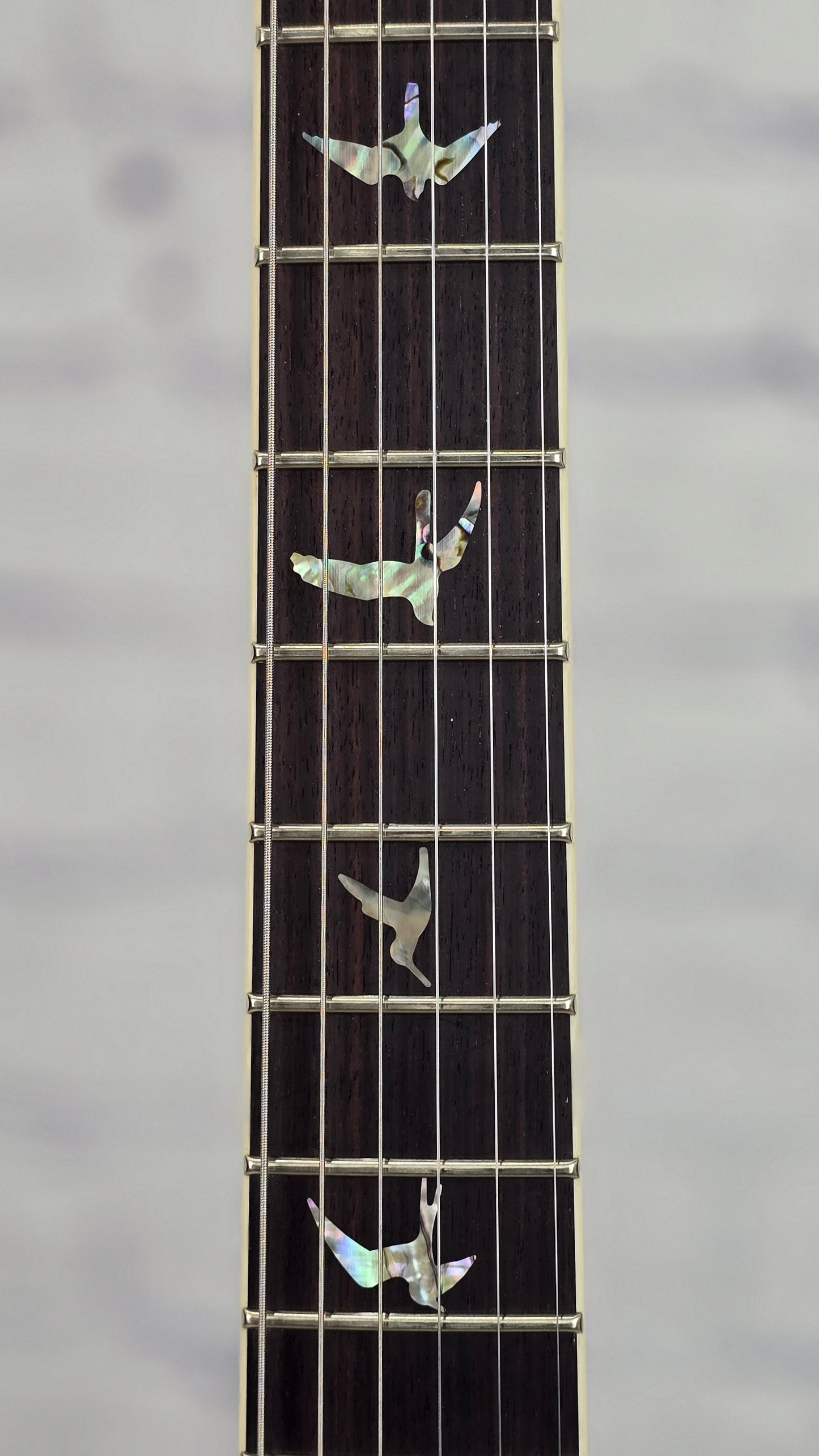 Paul Reed Smith PRS Guitars Core McCarty 594 Electric Guitar McCarty Antique White Natural Back