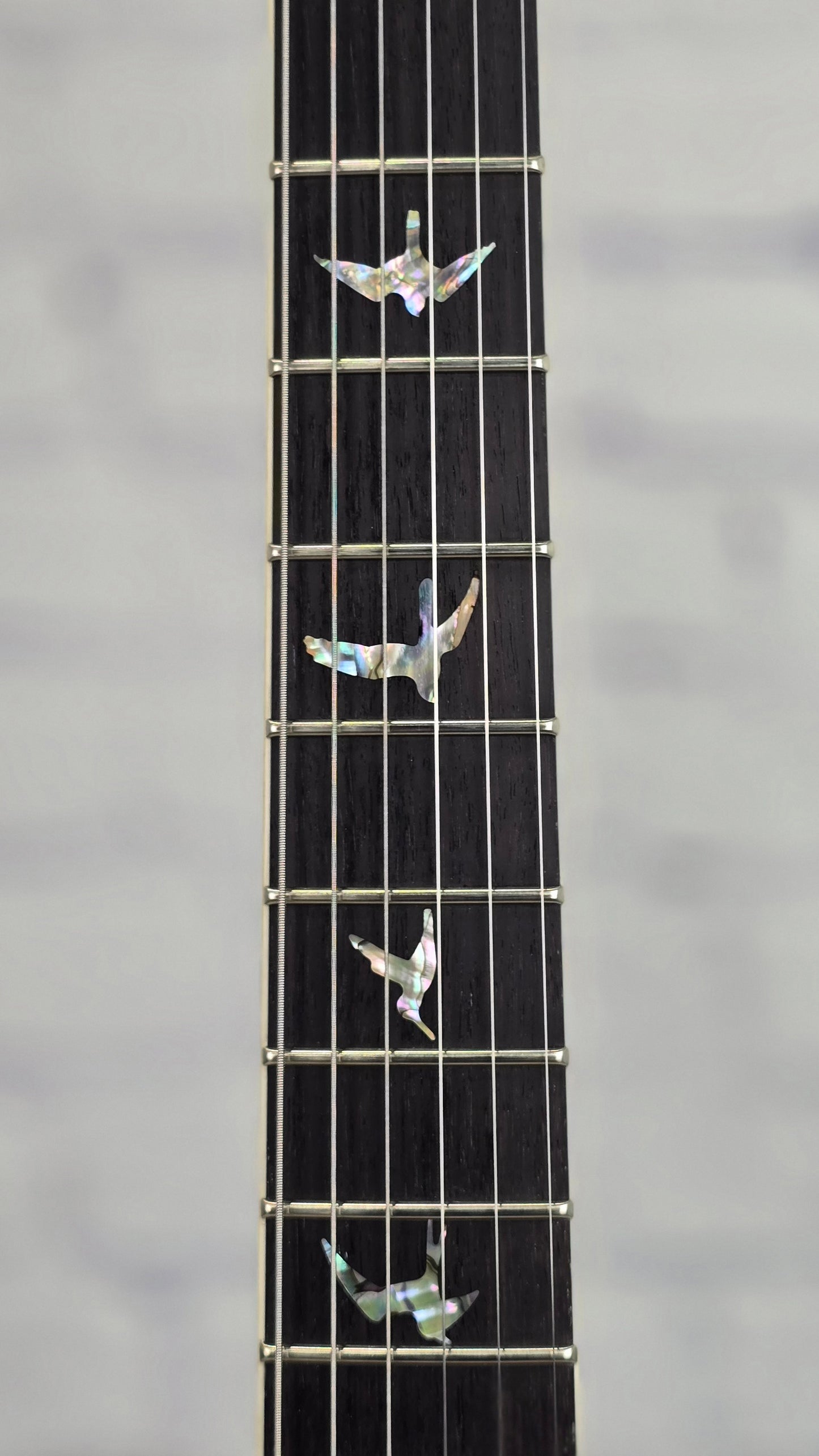 Paul Reed Smith PRS Guitars Core McCarty 594 Electric Guitar Aurora Borealis