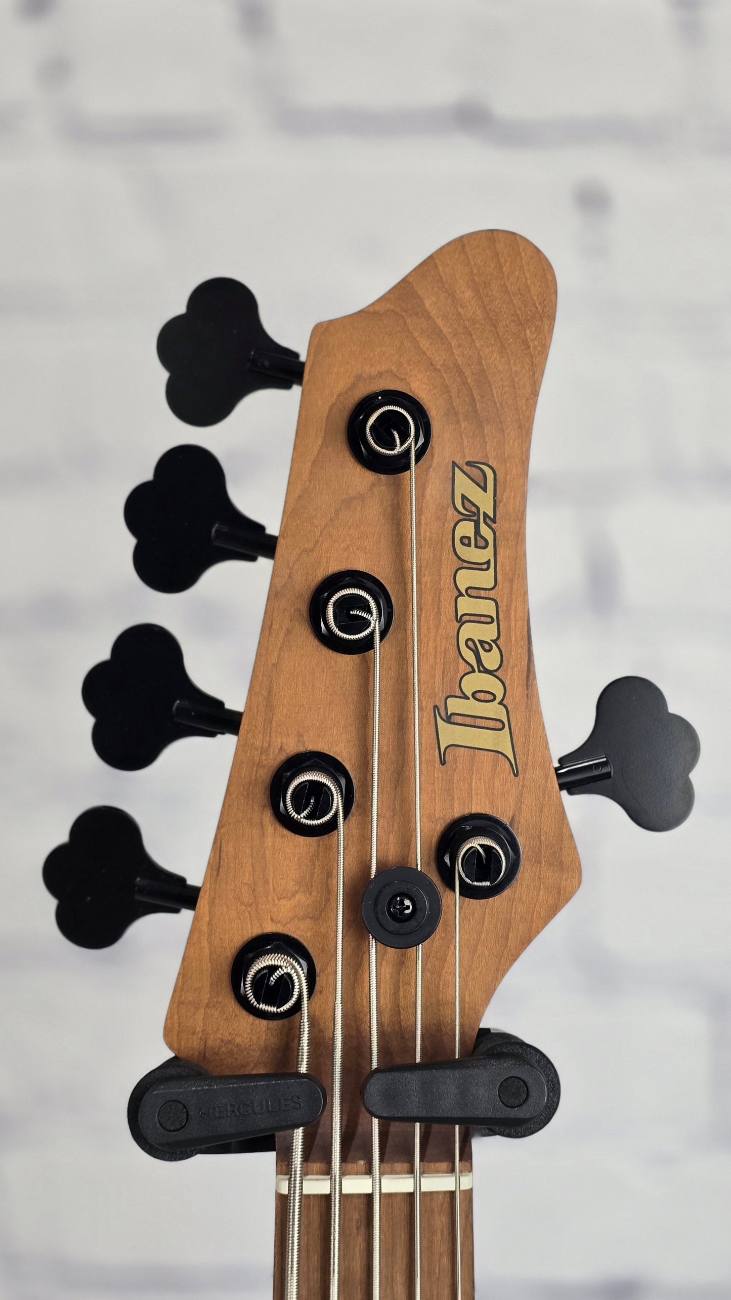 Ibanez Mode MDM1305 NML 5 String Bass Natural Mocha Low Gloss