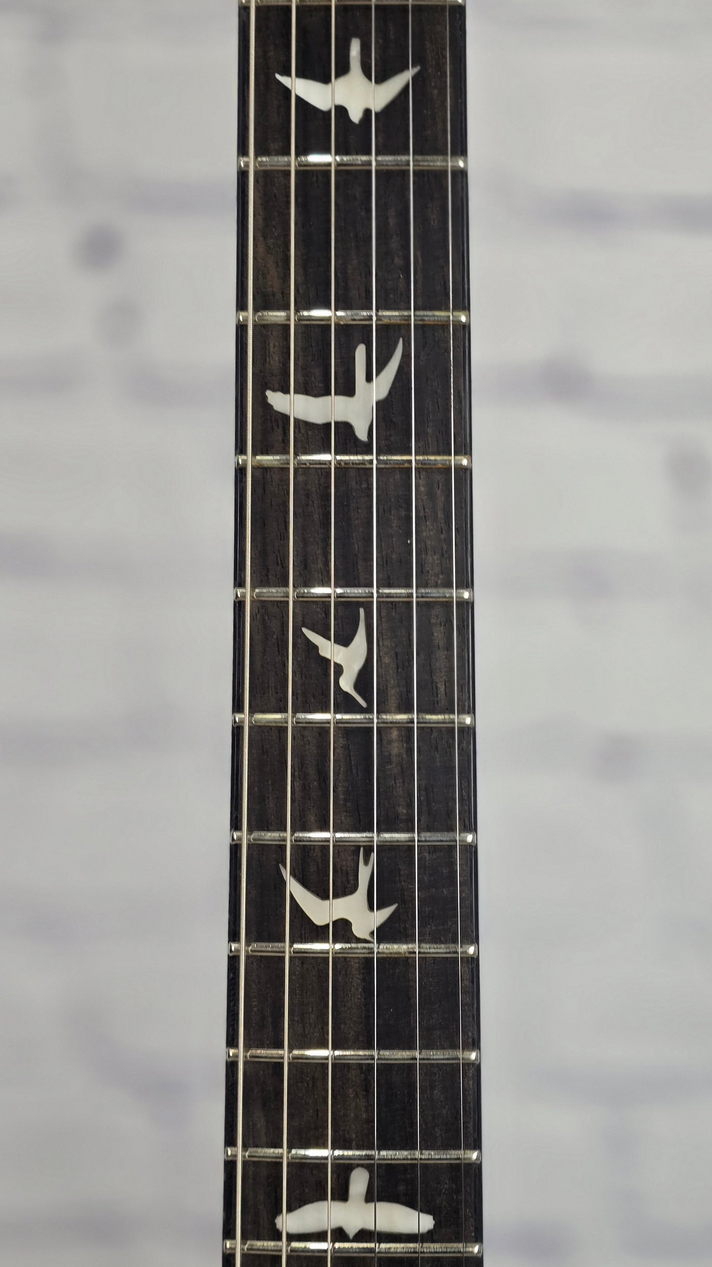 Paul Reed Smith PRS Guitars SE Custom 24 Floyd Rose Electric Guitar Charcoal Cherry Burst