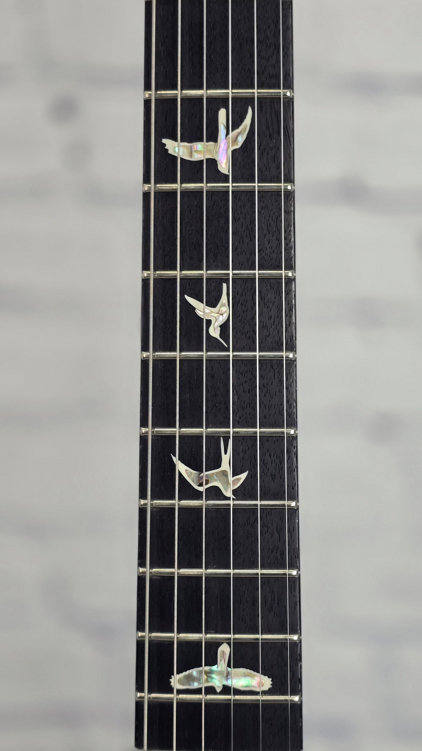 Paul Reed Smith PRS Guitars Tremonti Singlecut Tremolo 6 String Electric Guitar River Blue Pearl