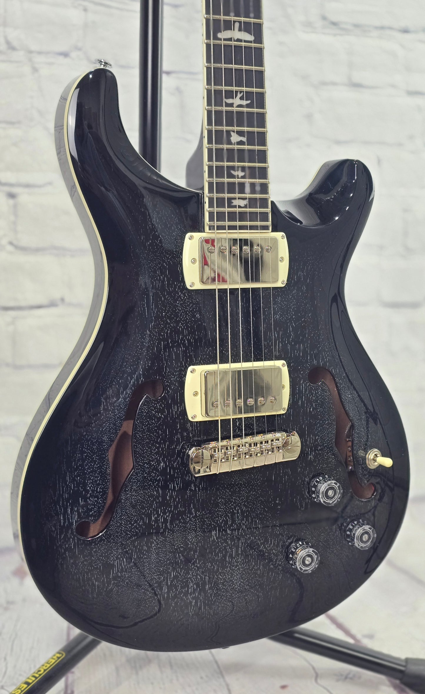 Paul Reed Smith PRS Guitars SE Hollowbody Standard Piezo 6 String Electric Guitar Dog Hair Smokeburst