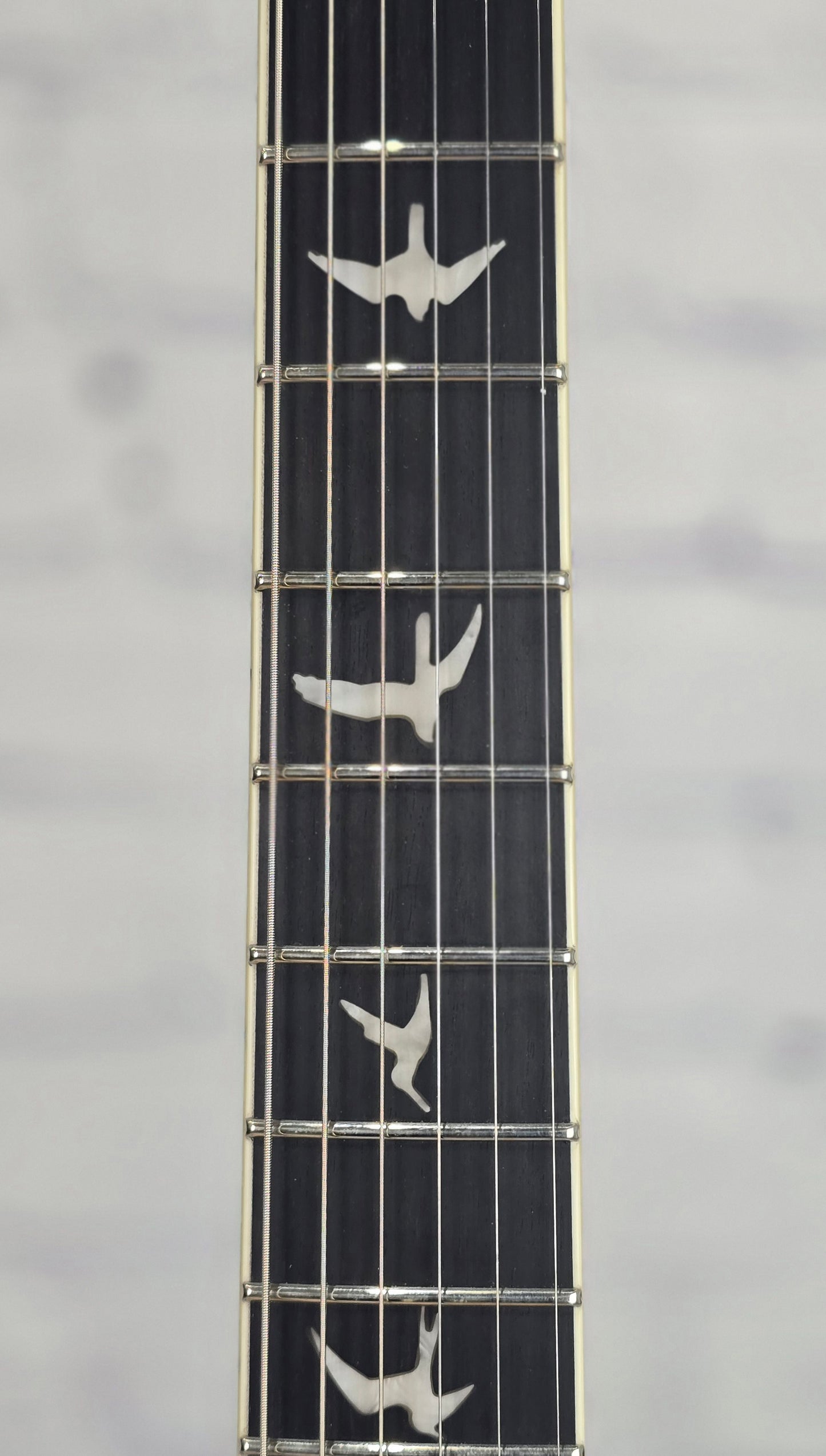 Paul Reed Smith PRS Guitars SE Hollowbody Standard Piezo 6 String Electric Guitar Dog Hair Smokeburst