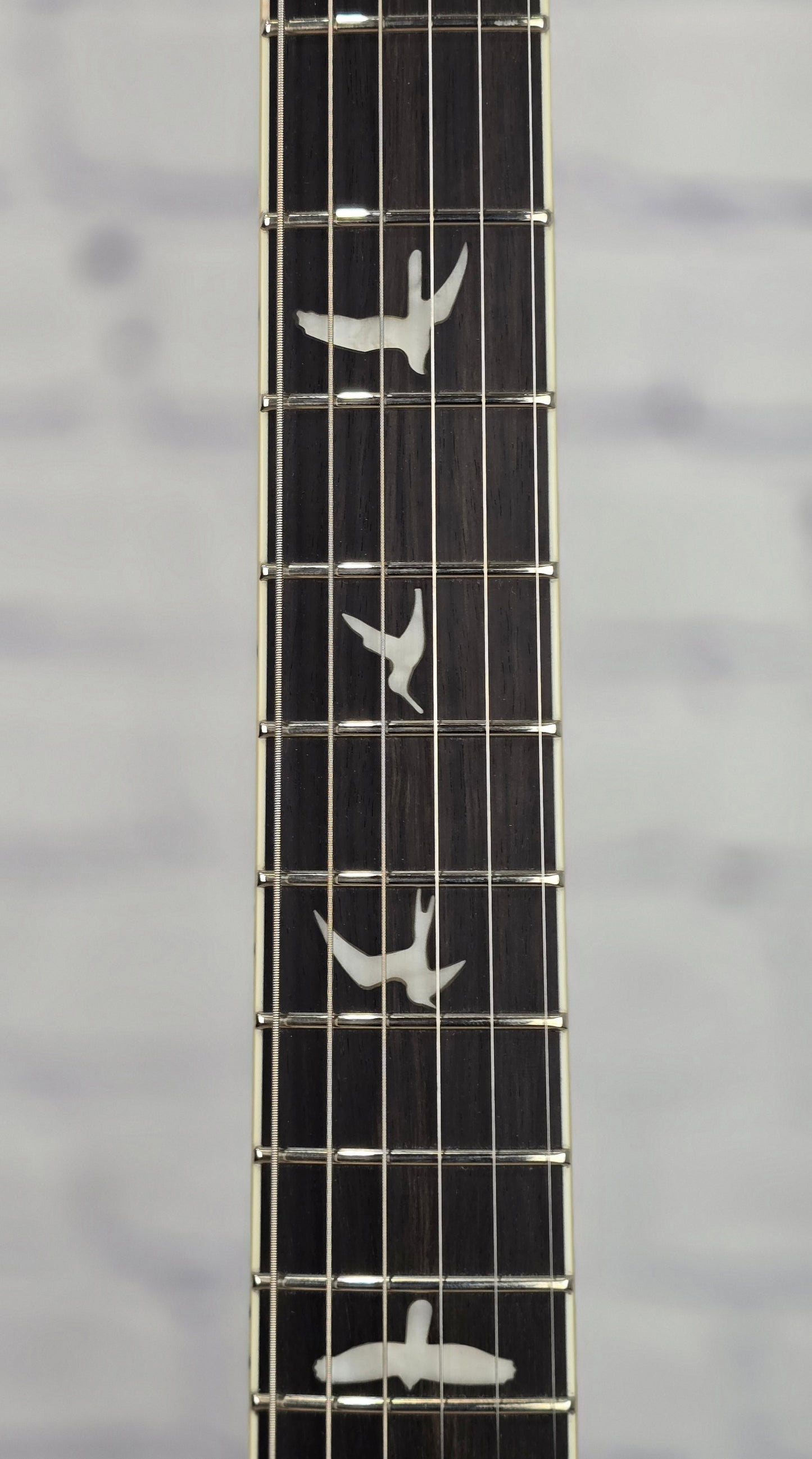 Paul Reed Smith PRS Guitars SE Custom 24 Quilt 6 String Electric Guitar Teal Black