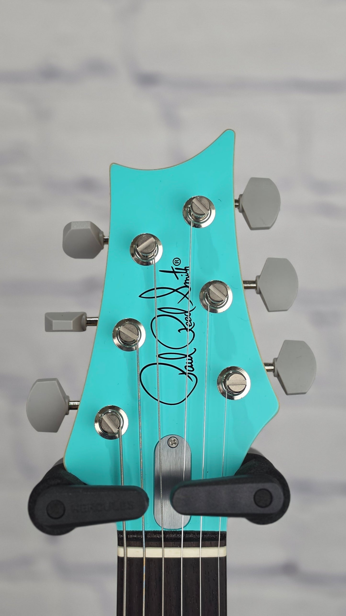 Paul Reed Smith PRS Guitars Silver Sky Limited Edition 6 String Electric Guitar Wild Blue