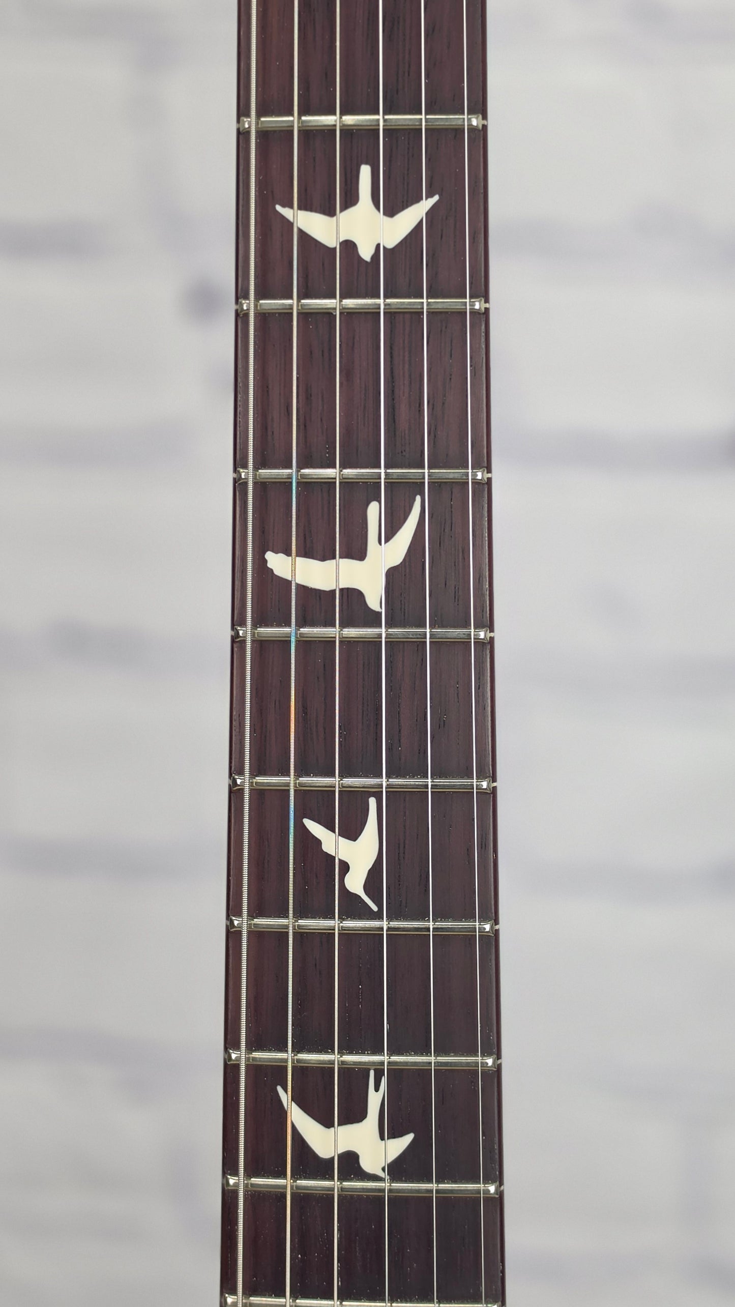 Paul Reed Smith PRS Guitars S2 Vela Semi-Hollow 6 String Electric Guitar Black Rainbow Holoflake