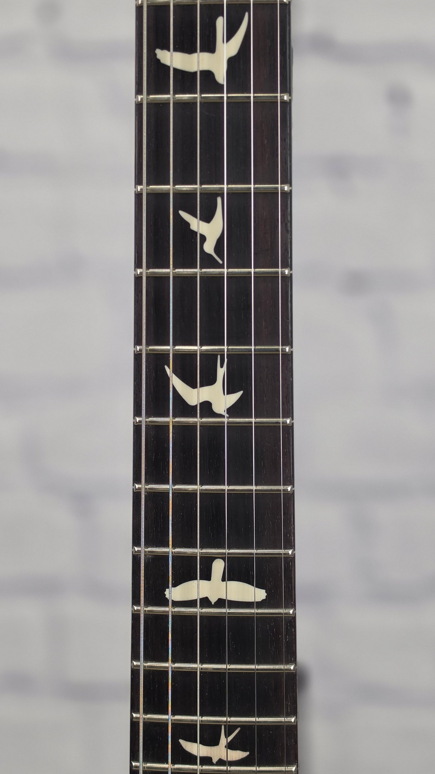Paul Reed Smith PRS Guitars S2 Standard 24 6 String Electric Guitar Black Rainbow Holoflake