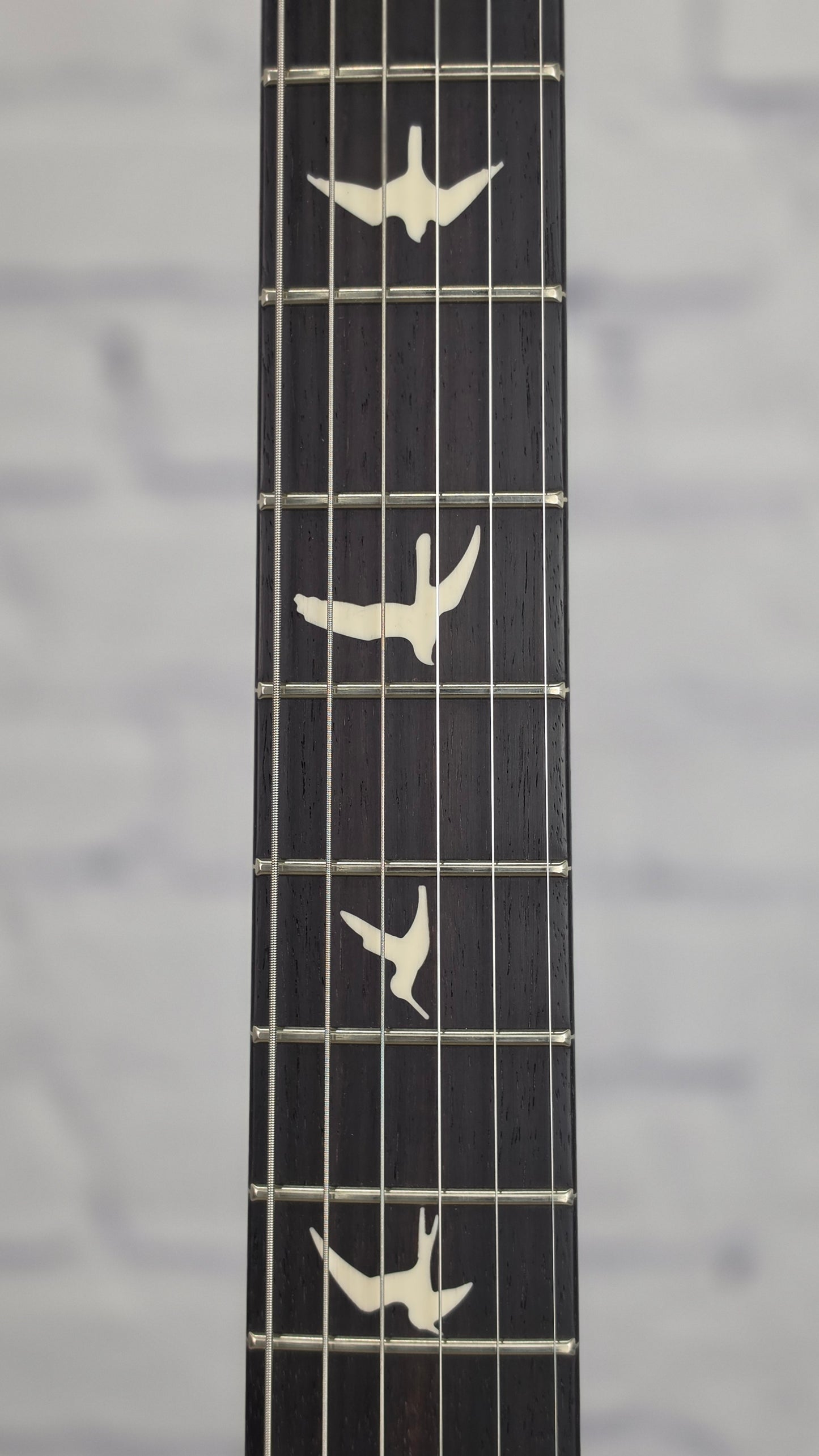 Paul Reed Smith PRS Guitars CE24 6 String Electric Guitar Deep Freeze Burst
