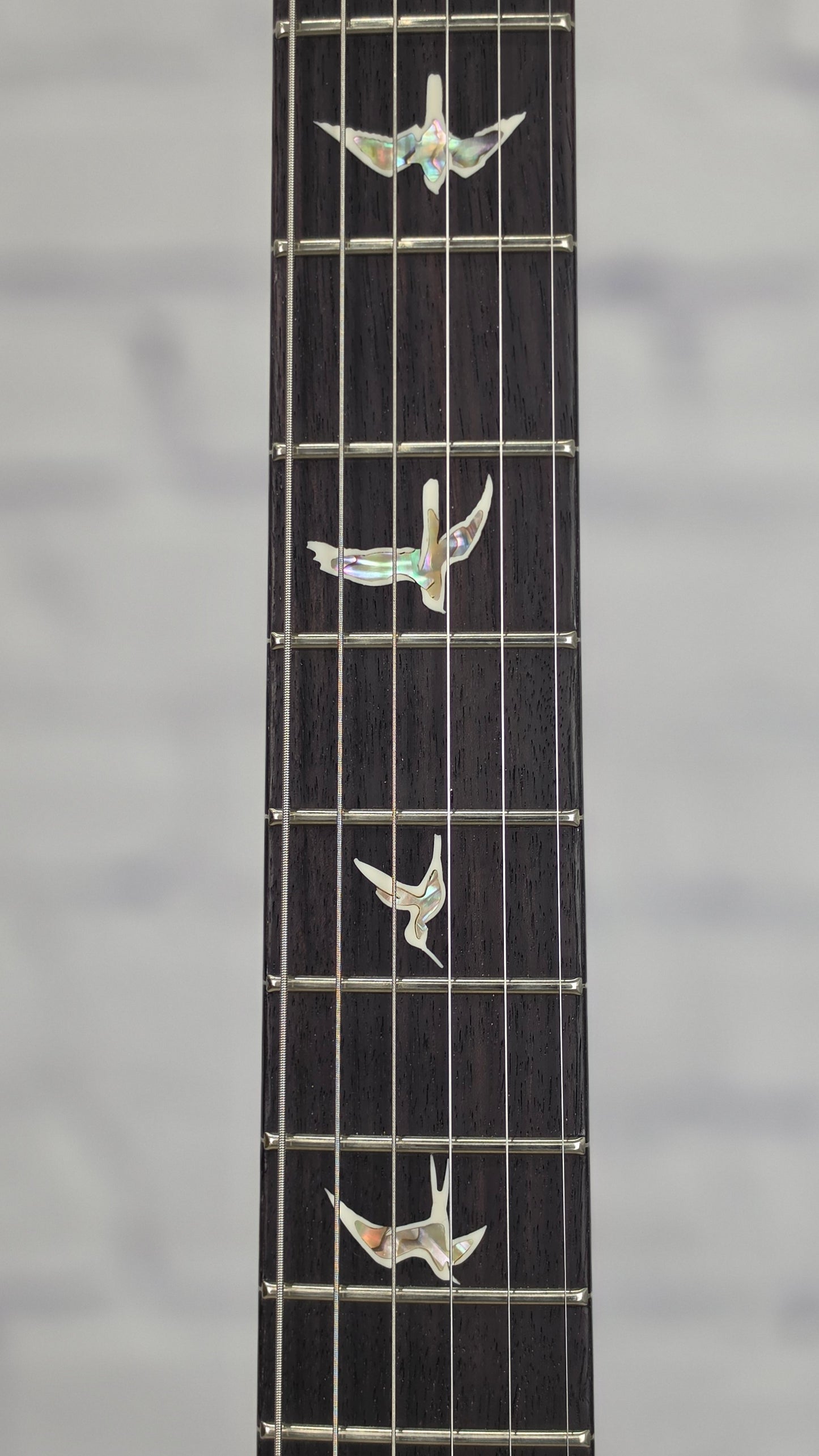 Paul Reed Smith PRS Guitars Custom 24 Core 10 Top 6 String Electric Guitar Multi-Color Fade Smokeburst Sprayer's Choice