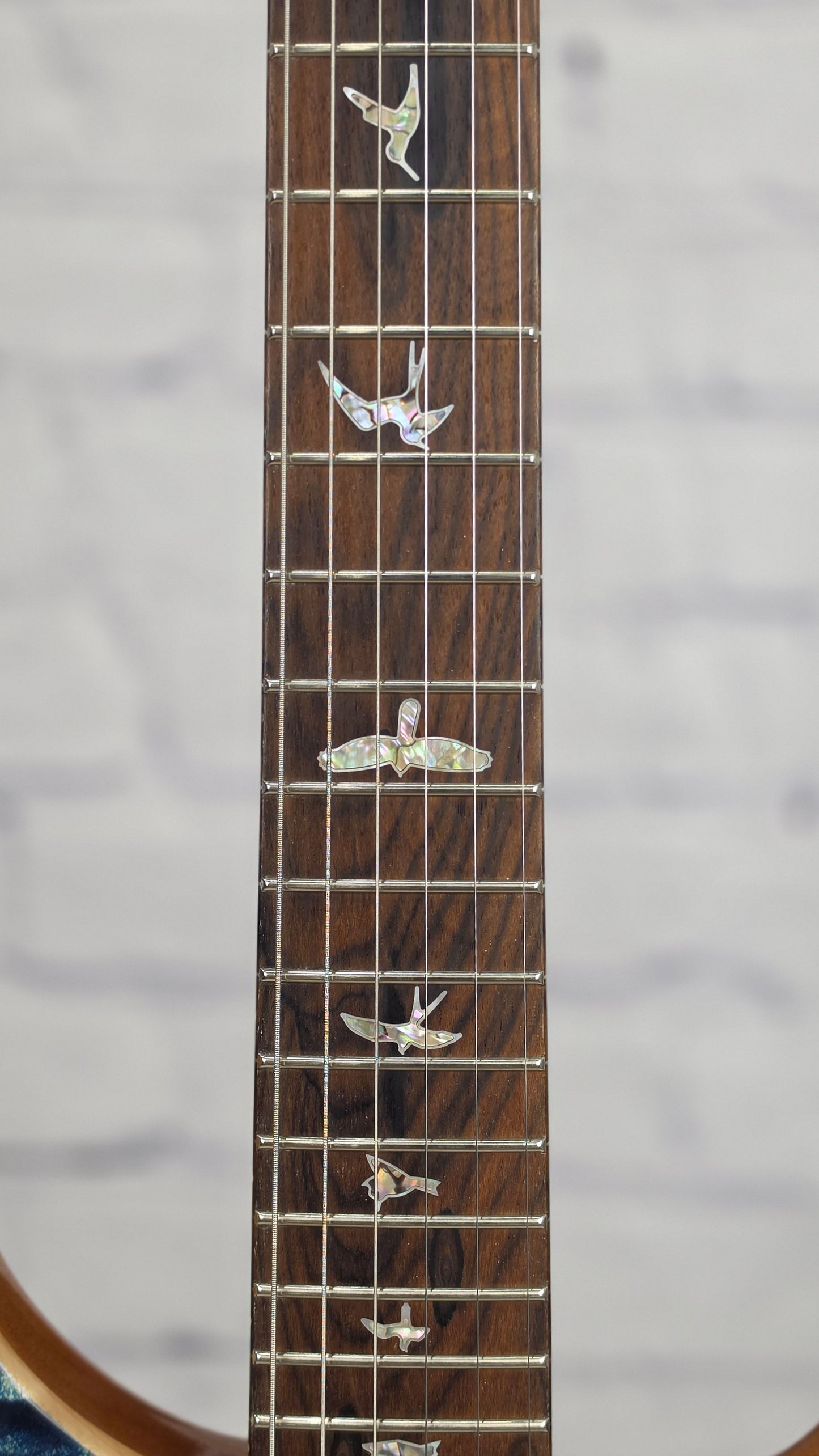 Paul Reed Smith PRS Guitars Custom 24-08 6 String Electric Guitar 10 Top Limited Private Stock Indigo