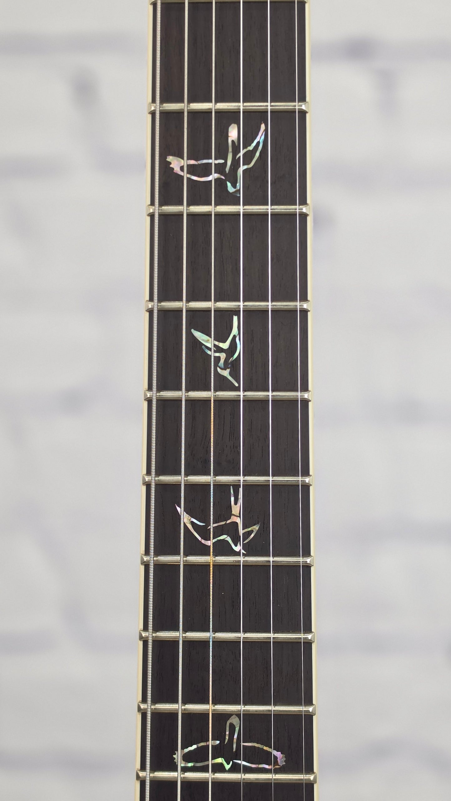 Paul Reed Smith PRS Guitars Mark Holcomb Custom 24 Core 6 String Electric Guitar Cobalt Smokeburst
