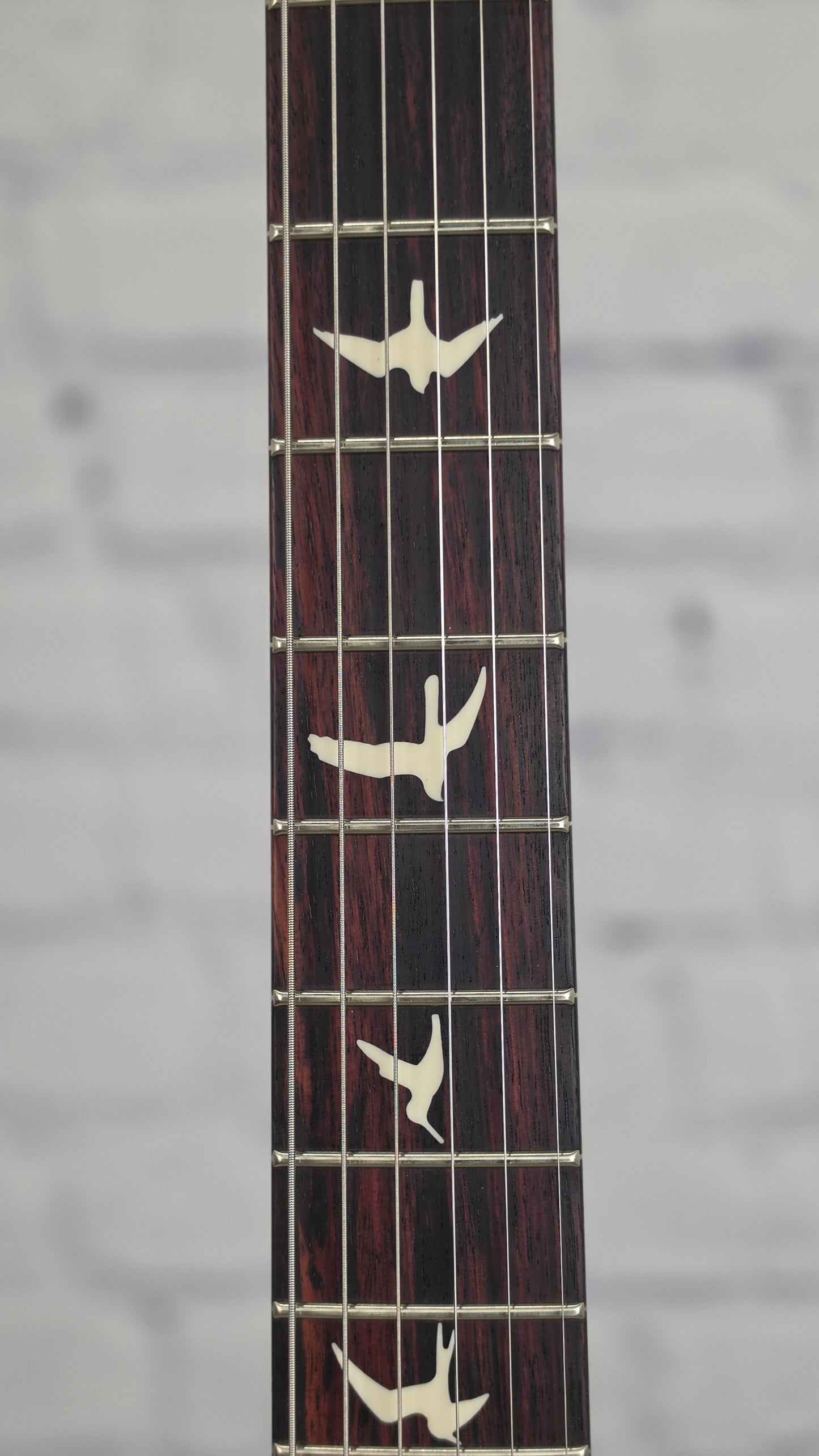 Paul Reed Smith PRS Guitars S2 Vela Satin Semi-Hollow 6 String Electric Guitar Limited Edition Black Limba Natural