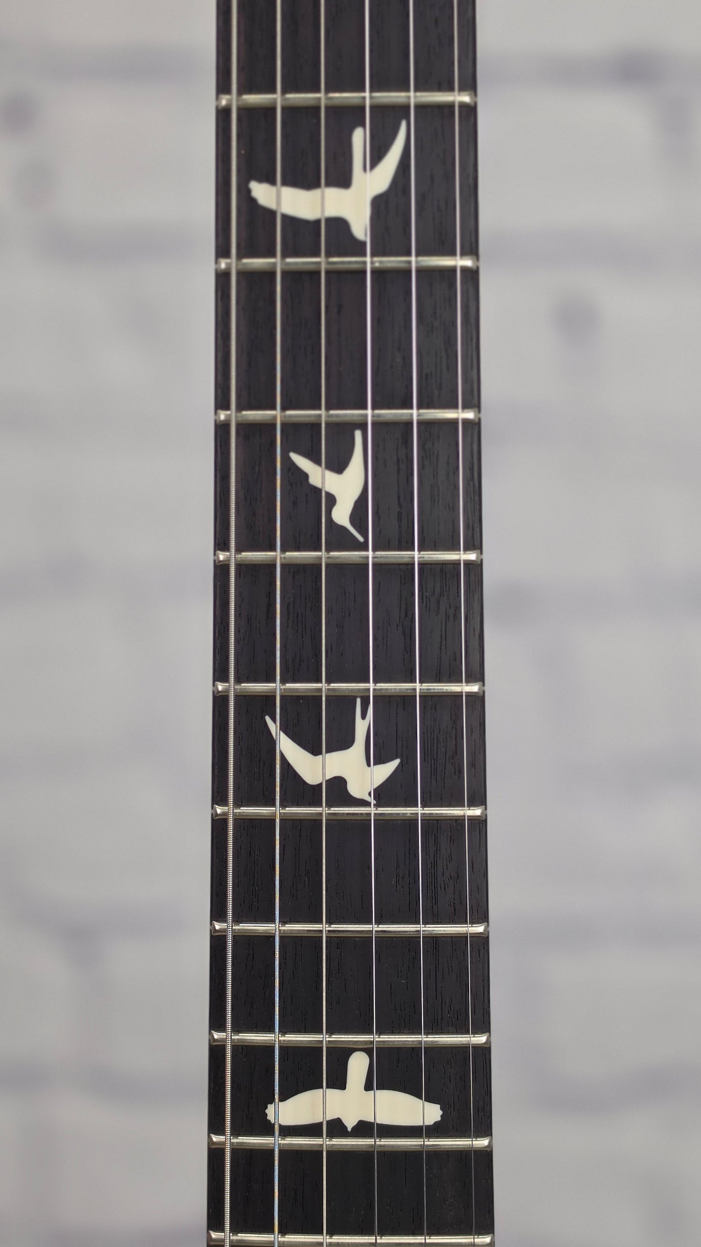 Paul Reed Smith PRS Guitars S2 Vela Satin Semi-Hollow 6 String Electric Guitar Limited Edition Black Limba Natural