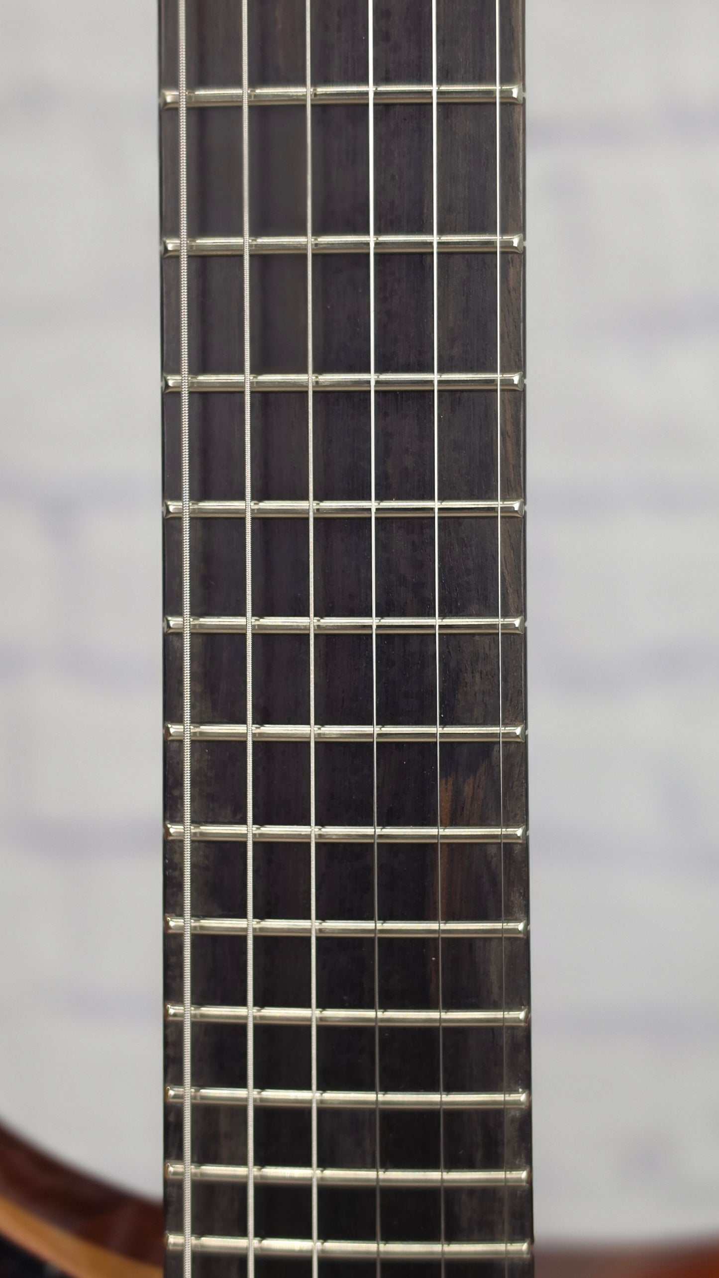 Paul Reed Smith PRS Guitars Custom 24 "Birds of a Feather" 2026 Limited Edition 6 String Electric Guitar Blood Red