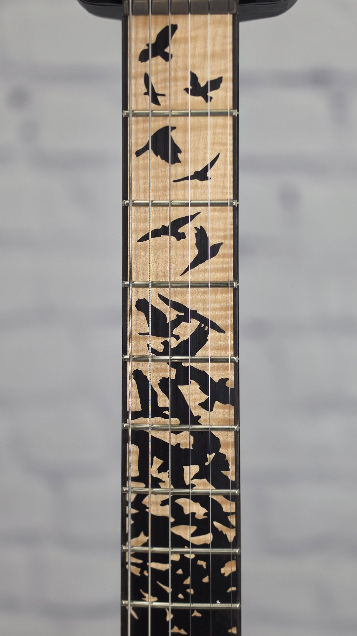 Paul Reed Smith PRS Guitars Custom 24 "Birds of a Feather" 2026 Limited Edition 6 String Electric Guitar Charcoal Microburst