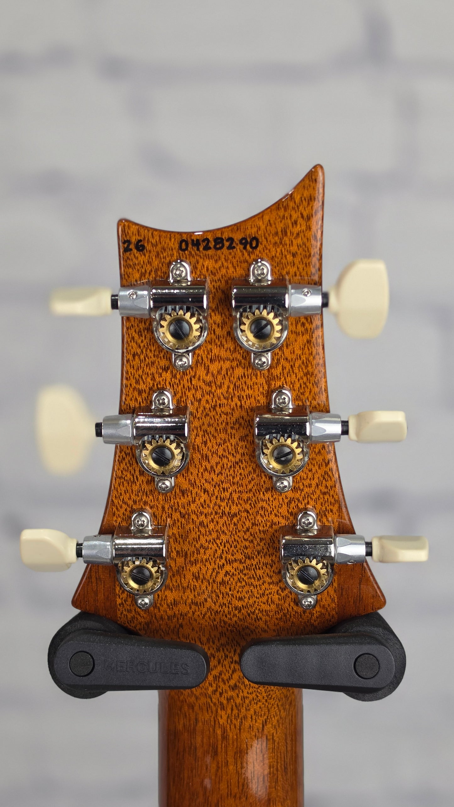 Paul Reed Smith PRS Guitars Custom 24 "Birds of a Feather" 2026 Limited Edition 6 String Electric Guitar Charcoal Microburst