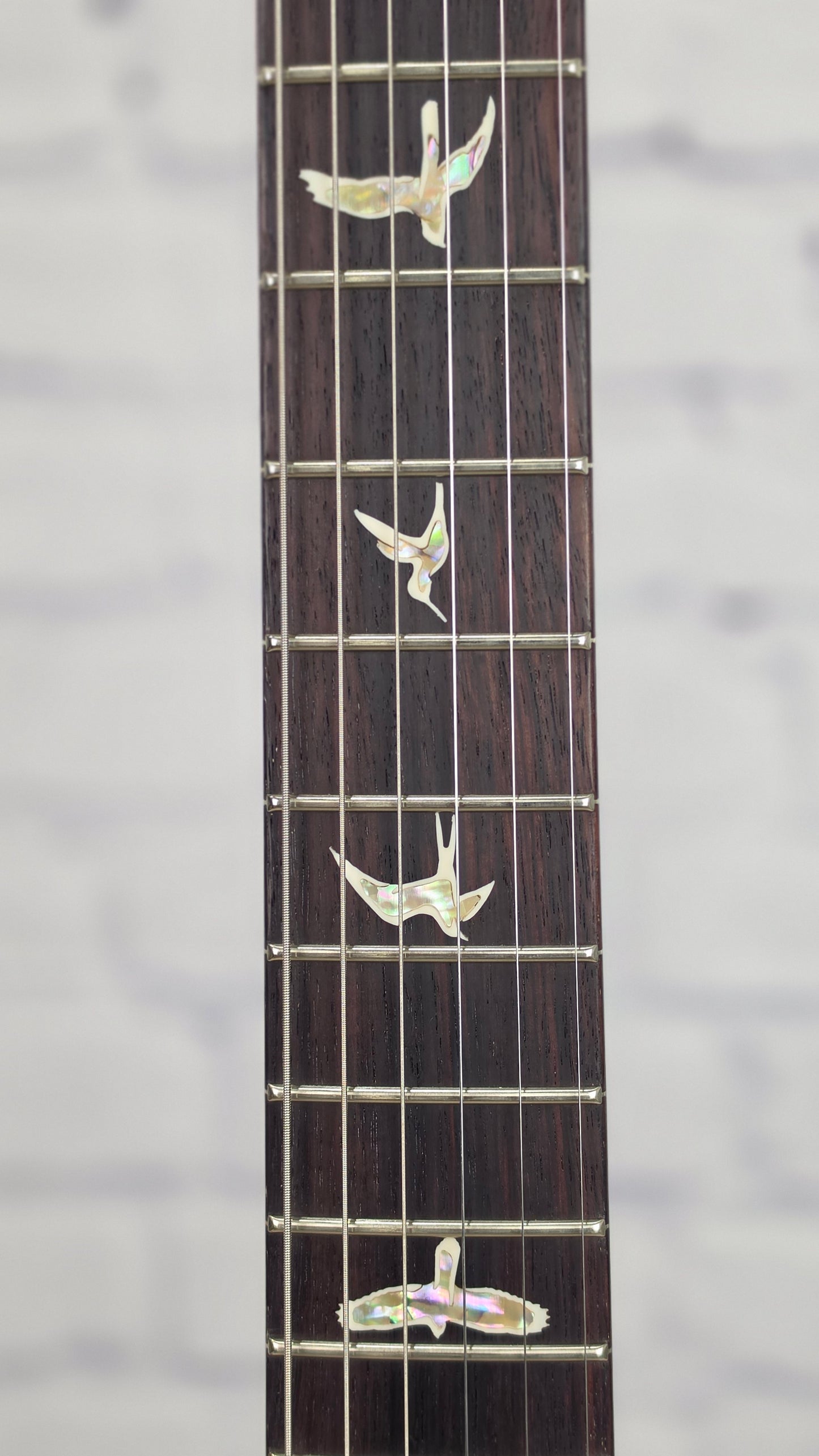 Paul Reed Smith PRS Guitars Custom 24 10 Top 6 String Electric Guitar Arctic Blue Limited Edition