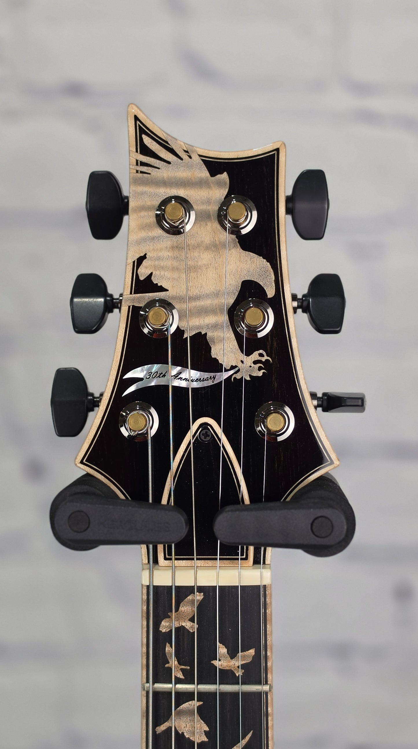 Paul Reed Smith PRS Guitars Private Stock 30th Anniversary "Birds of a Feather" Hollowbody I 6 String Electric Guitar Frostbite Glow