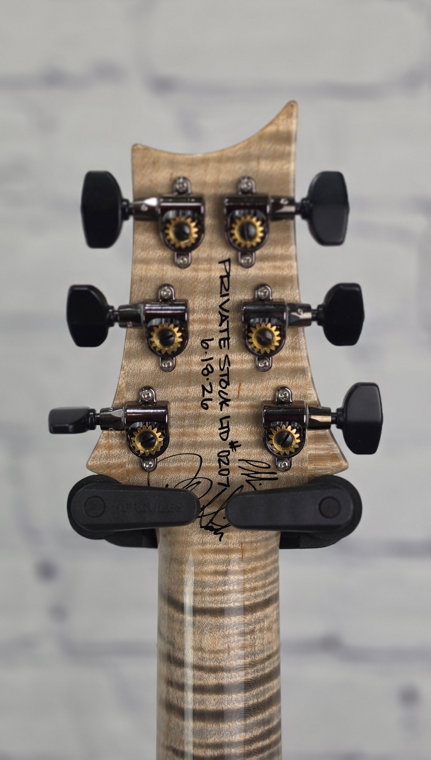 Paul Reed Smith PRS Guitars Private Stock 30th Anniversary "Birds of a Feather" Hollowbody I 6 String Electric Guitar Frostbite Glow