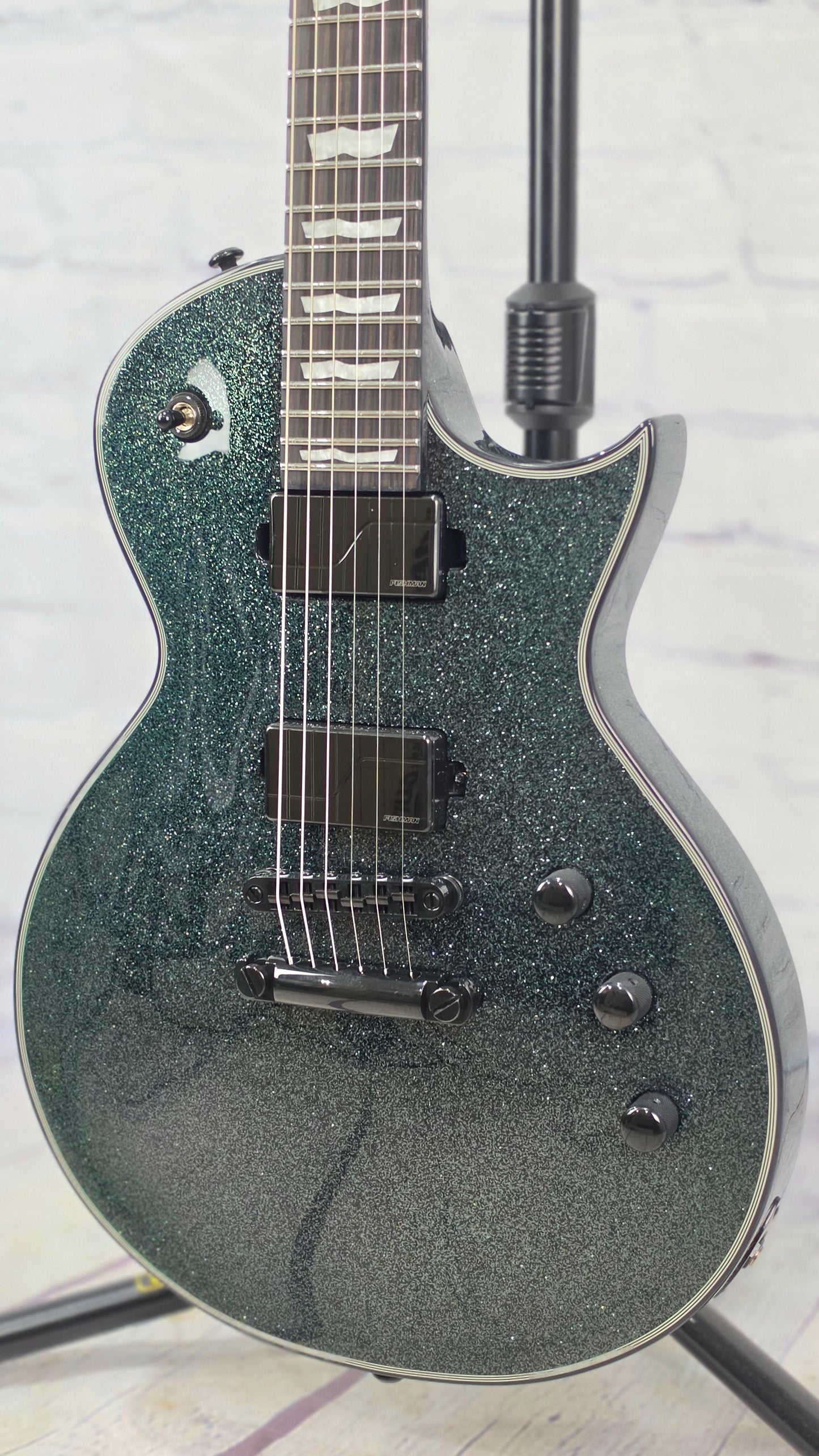 ESP LTD EC-1000 Eclipse 6 String Electric Guitar Granite Sparkle