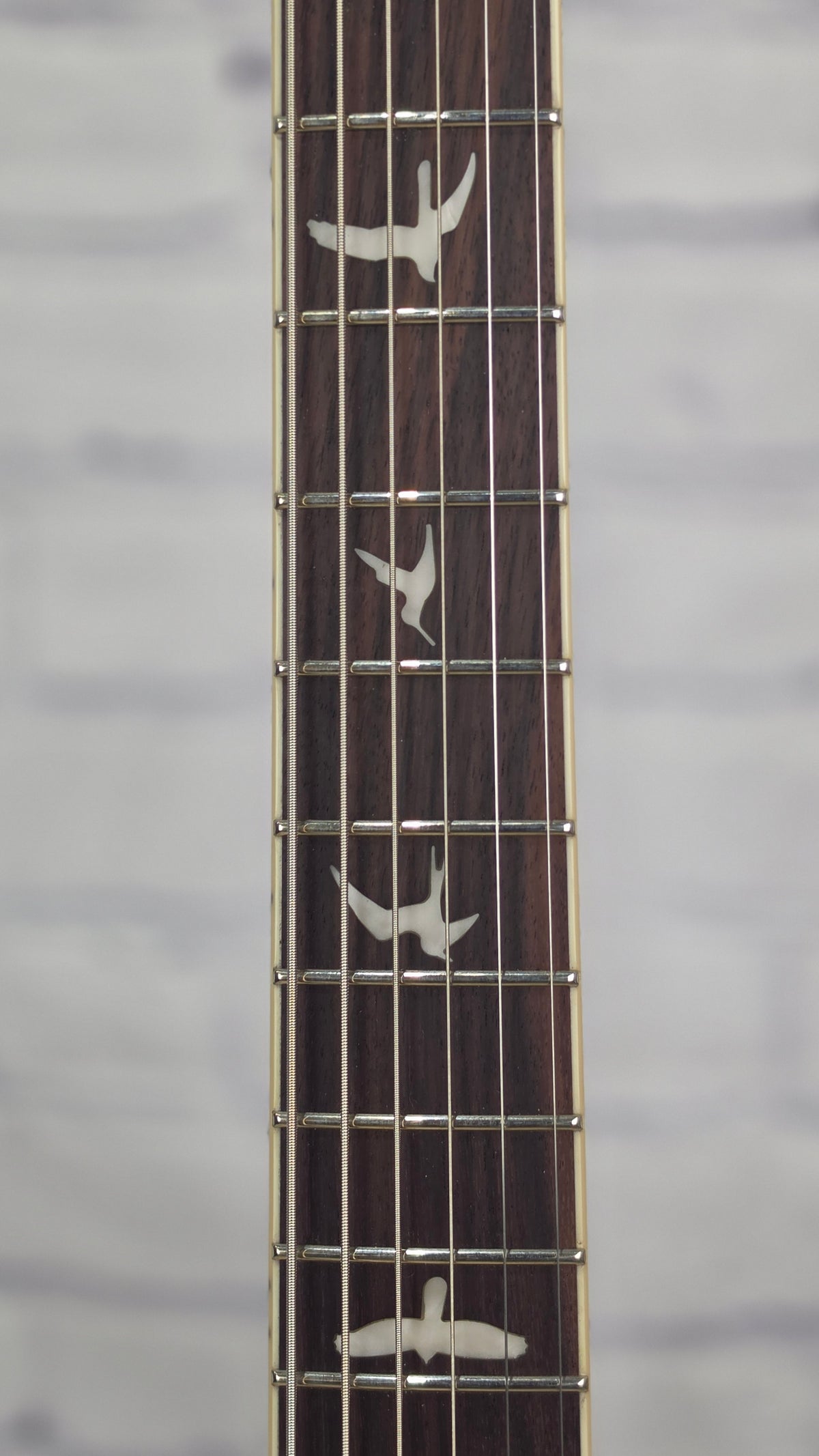 Paul Reed Smith PRS Guitars SE Ed Sheeran Baritone Semi-Hollow 6 String Electric Guitar Kaleidoscope
