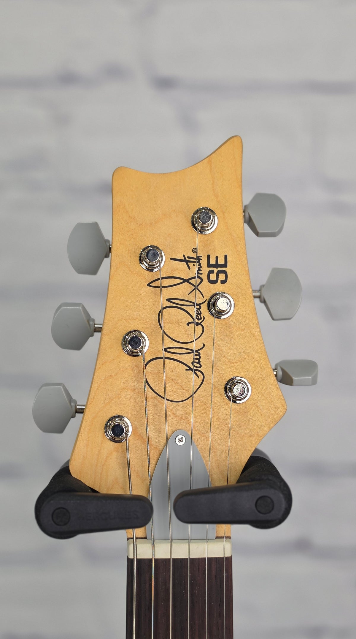 Paul Reed Smith PRS Guitars SE Silver Sky RW John Mayer Electric Guitar Laurel Green