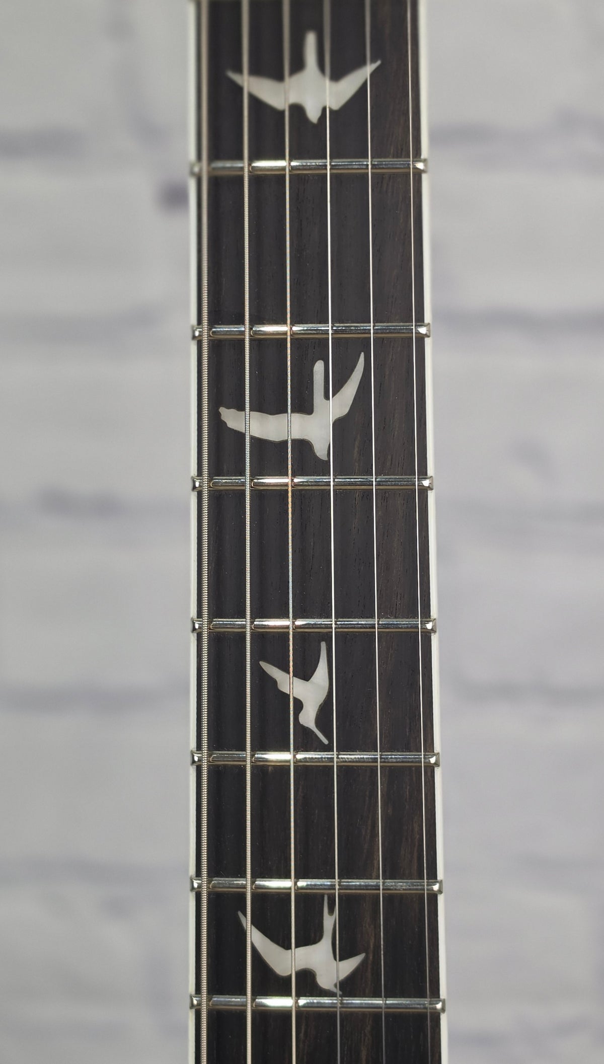 Paul Reed Smith PRS Guitars SE Mark Holcomb 6 String Electric Guitar Holcomb Blue Burst