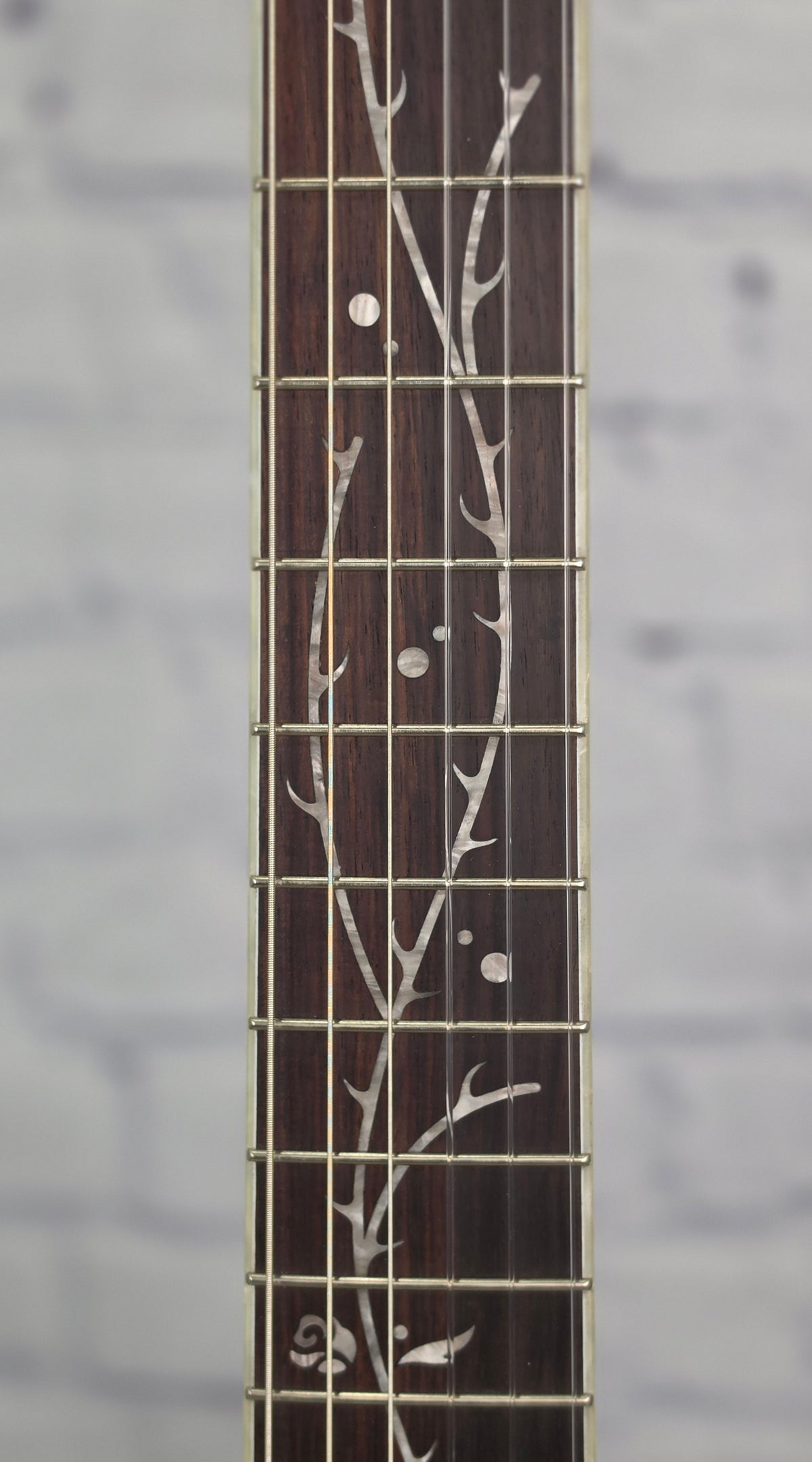 Ibanez TOD10N SMF Tim Henson Nylon String Acoustic Guitar Silver Metallic Flat